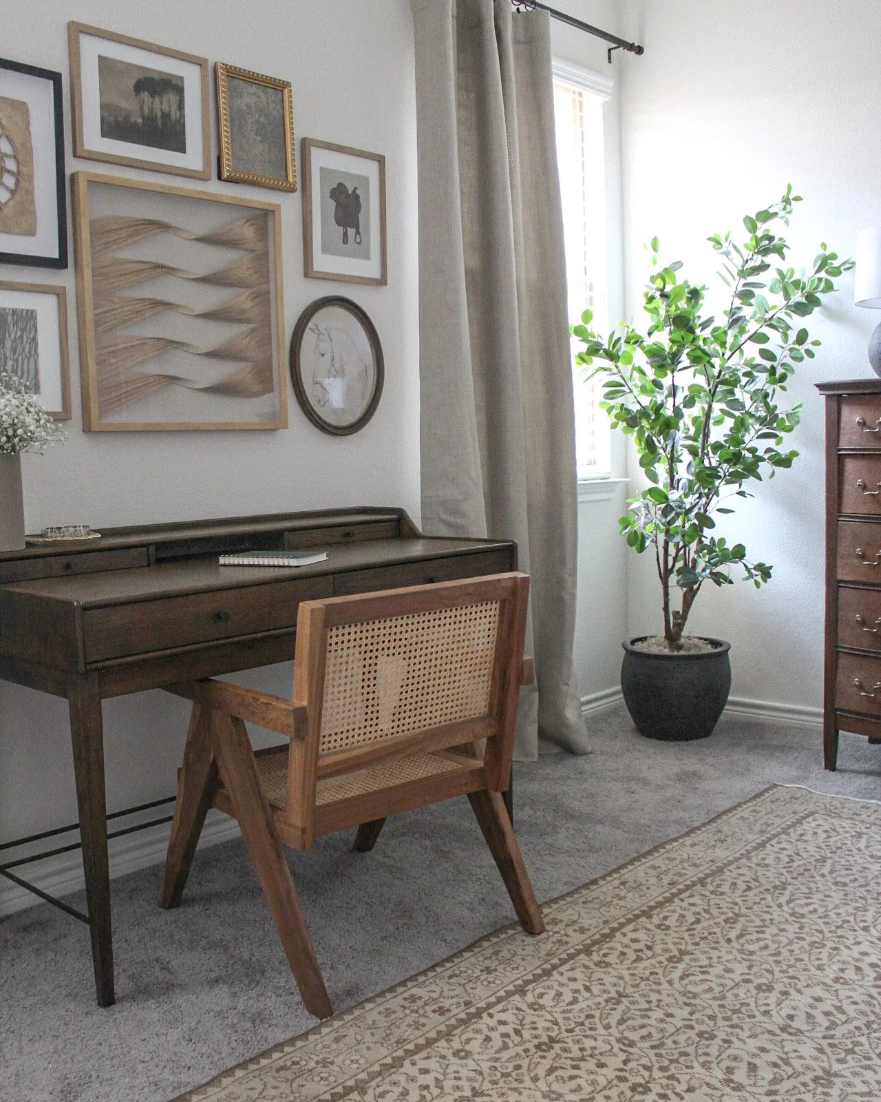 A cozy corner of a room with a wooden desk, a wooden chair with cane back, a tall potted plant, and a gallery wall with framed pictures on a white wall. There is a window with light-colored curtains, and a dresser on the right side. The floor has a l