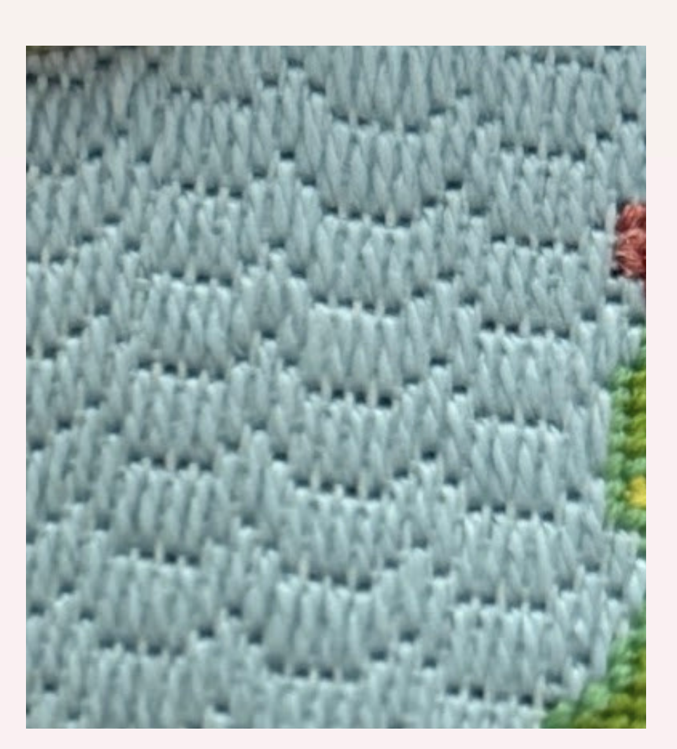 Scallop