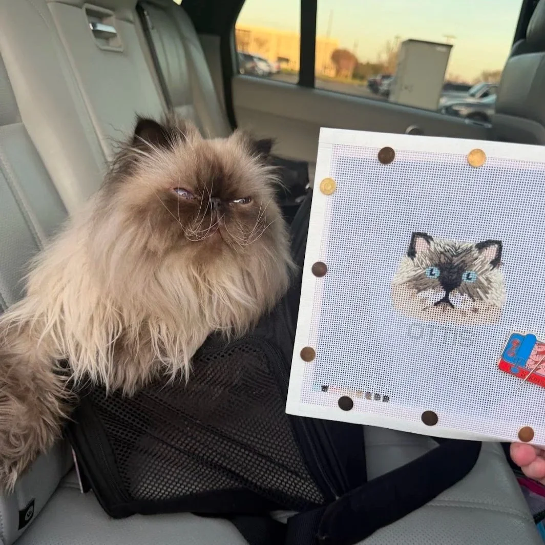 A fluffy Himalayan cat with brown and cream fur sitting in a car seat next to a cross-stitch embroidery of a cat's face. The embroidery has blue eyes and black markings. The car's interior is visible, and a parking lot with cars and buildings is seen through the window.