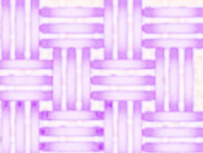 Screenshot 2026-08-30 at 4.23.35 PM.png