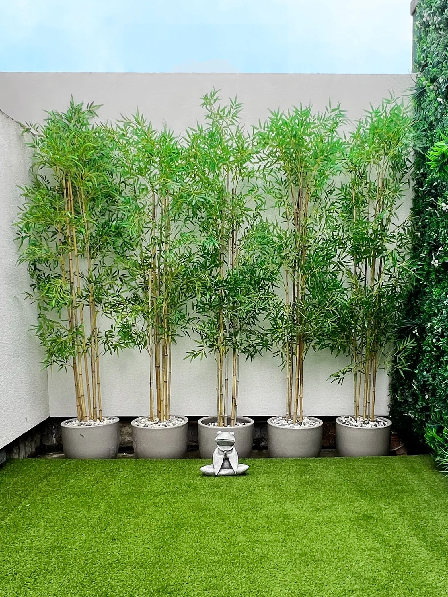 Row of tall potted plants with thin stalks and green foliage, placed against a white wall with a light blue sky above, on a well-maintained green lawn with a small decorative statue of a dog in front.