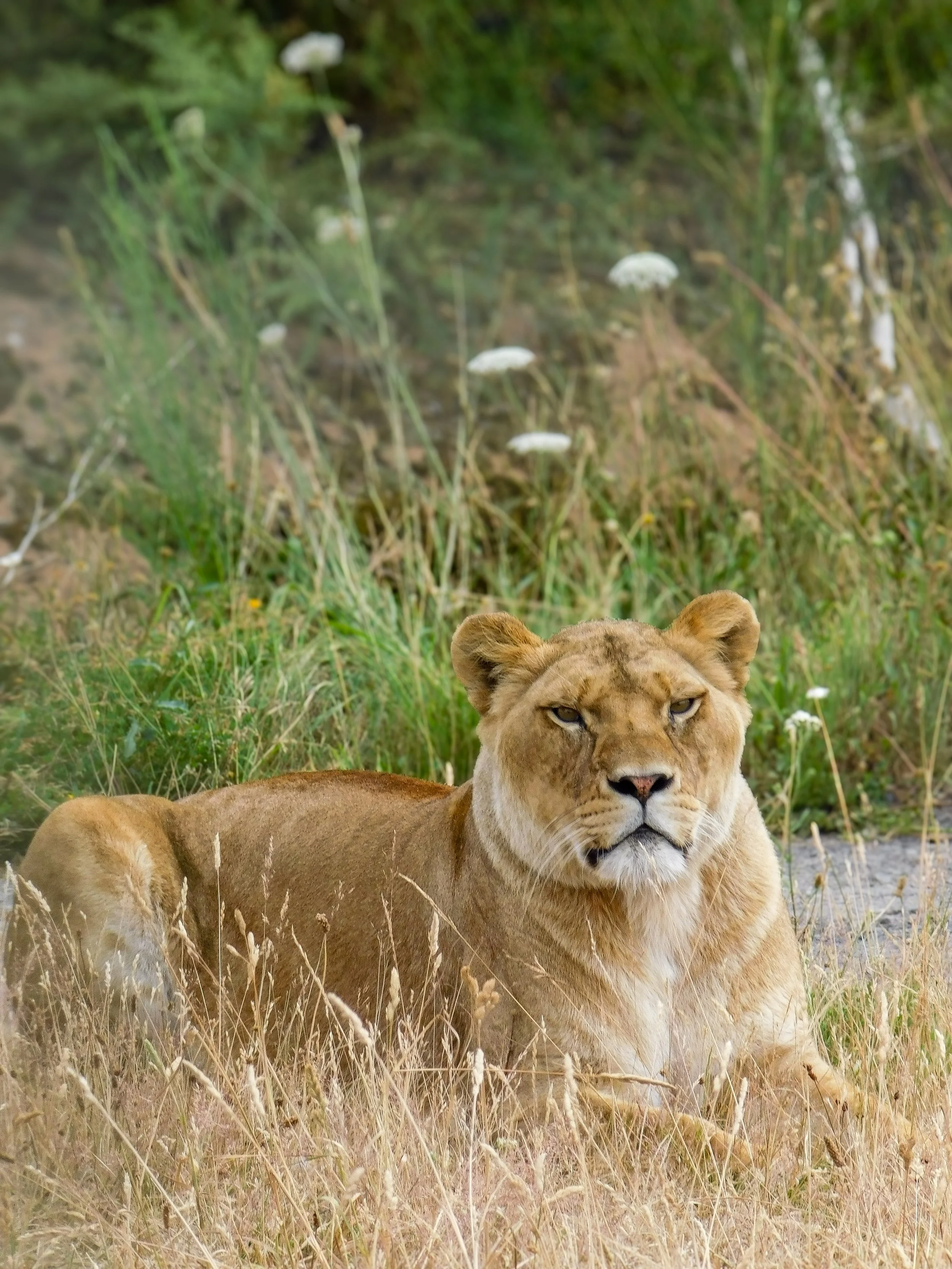 DSCN2452.jpg