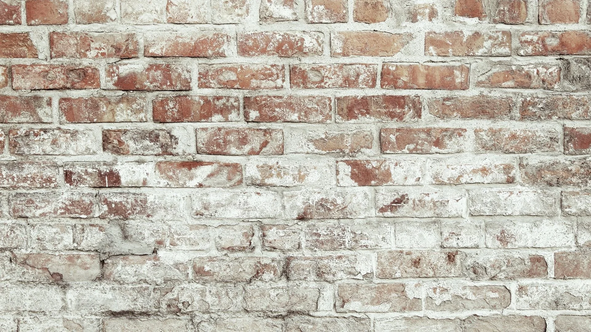 A close-up of a weathered red brick wall with white mortar and some bricks showing signs of aging and paint chipping.