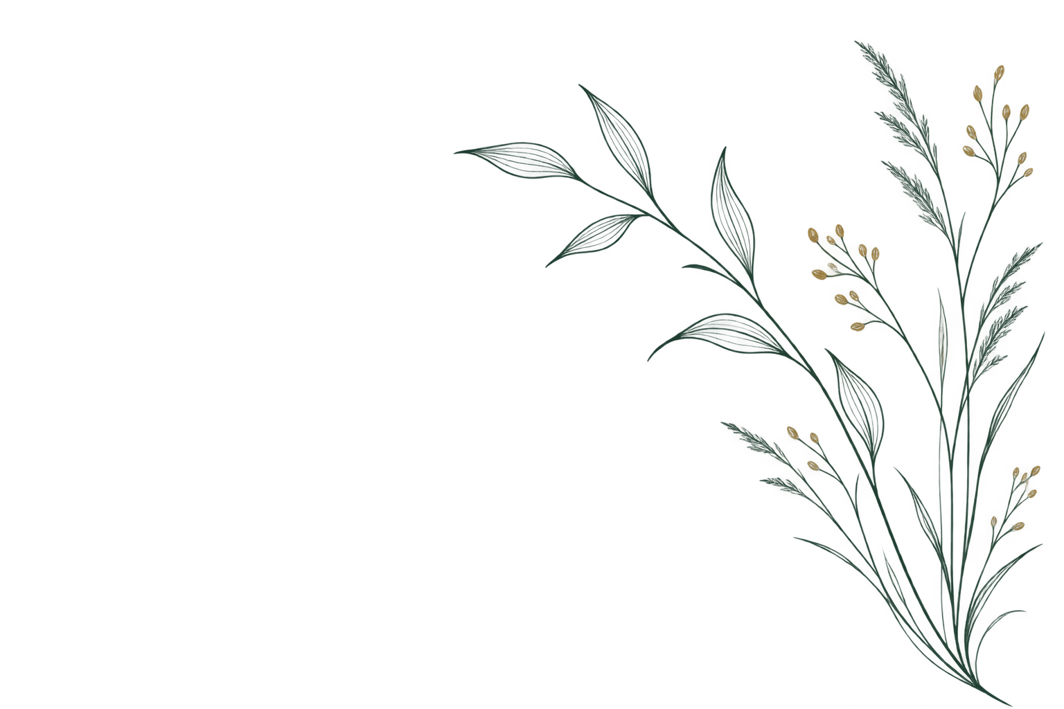 Delicate botanical line illustration