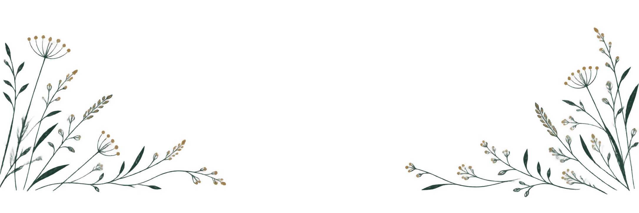 Fine botanical branch line illustration