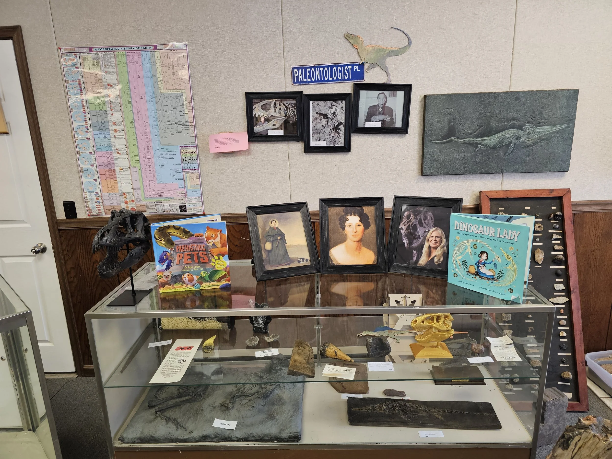 Paleontology display case featuring fossils, field tools and educational materials.