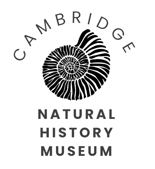 Cambridge Natural History Museum