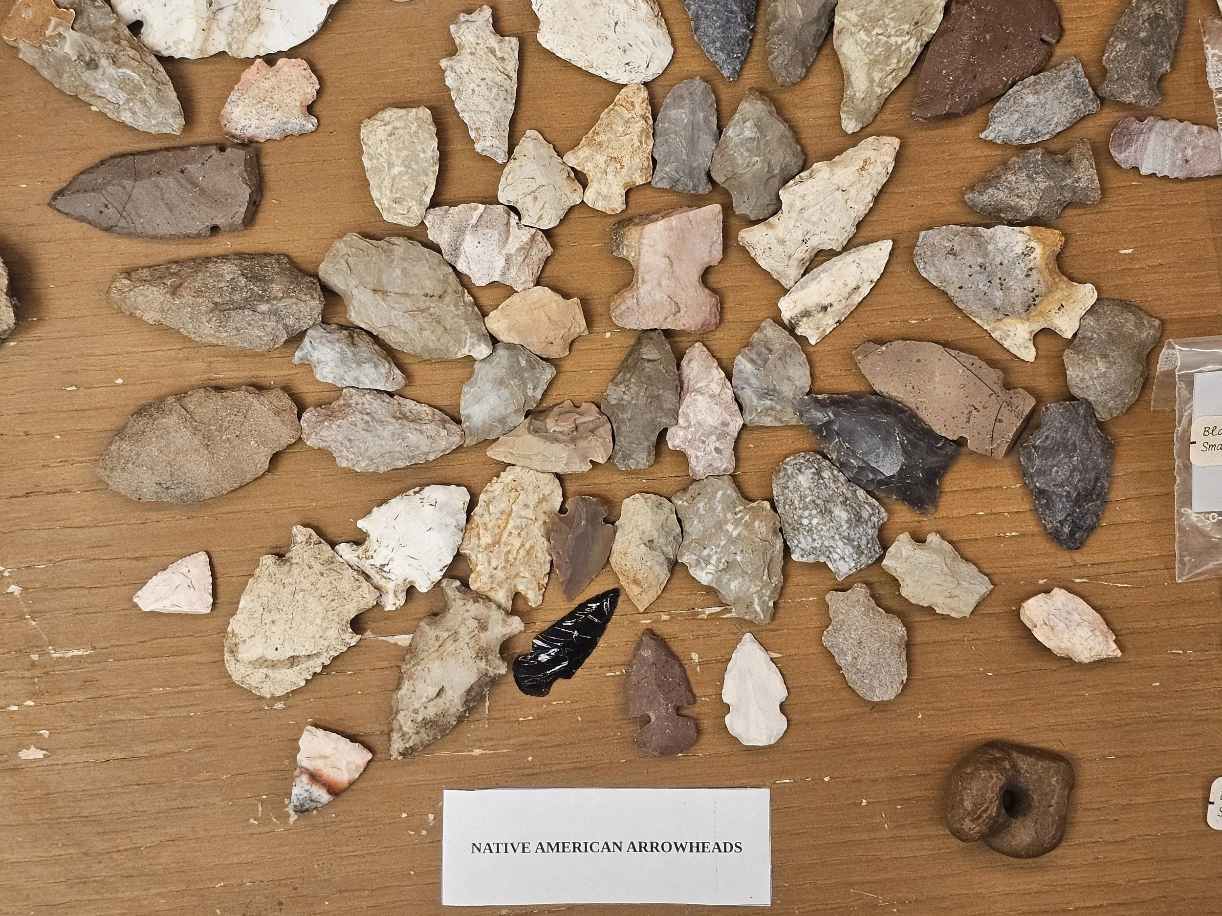 Close-up of regional Indigenous arrowheads arranged in a museum display.
