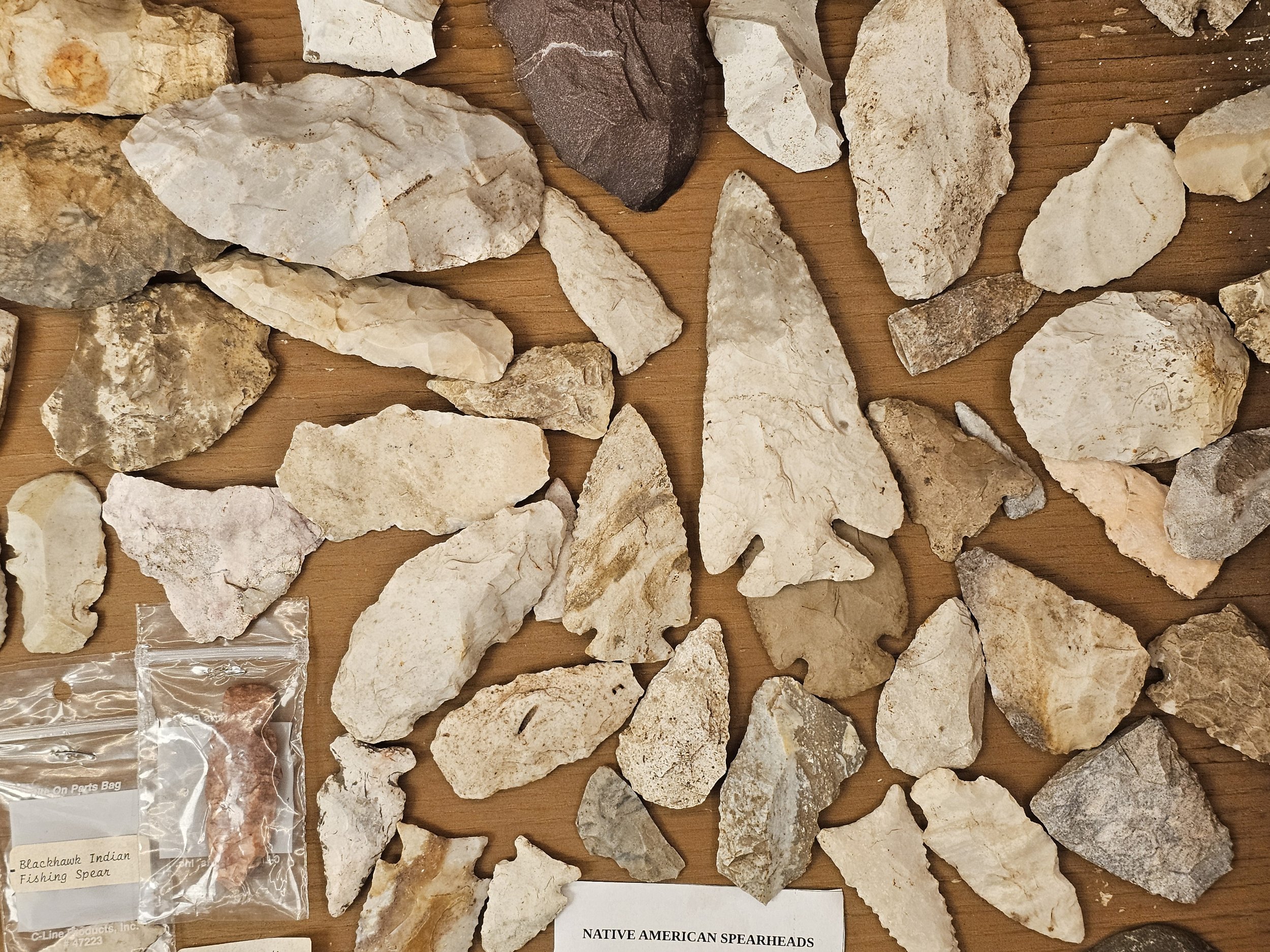 Close-up of regional Indigenous spearheads arranged in a museum display.