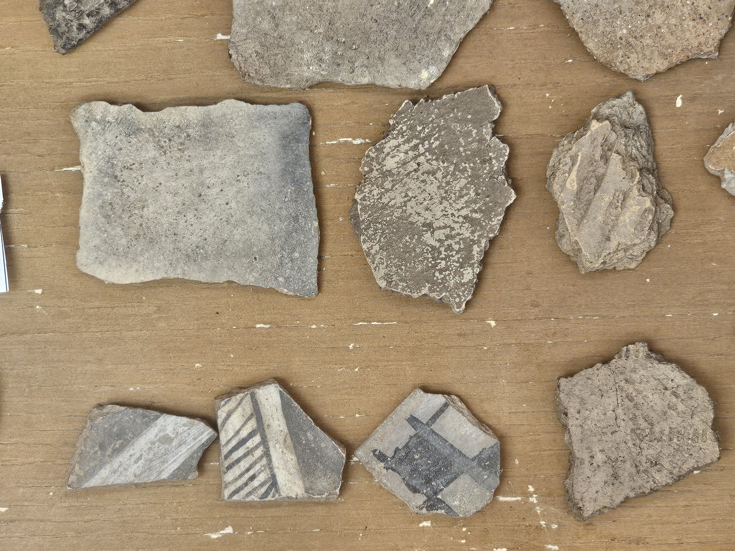 Close-up of regional Indigenous pottery fragments in a museum display.