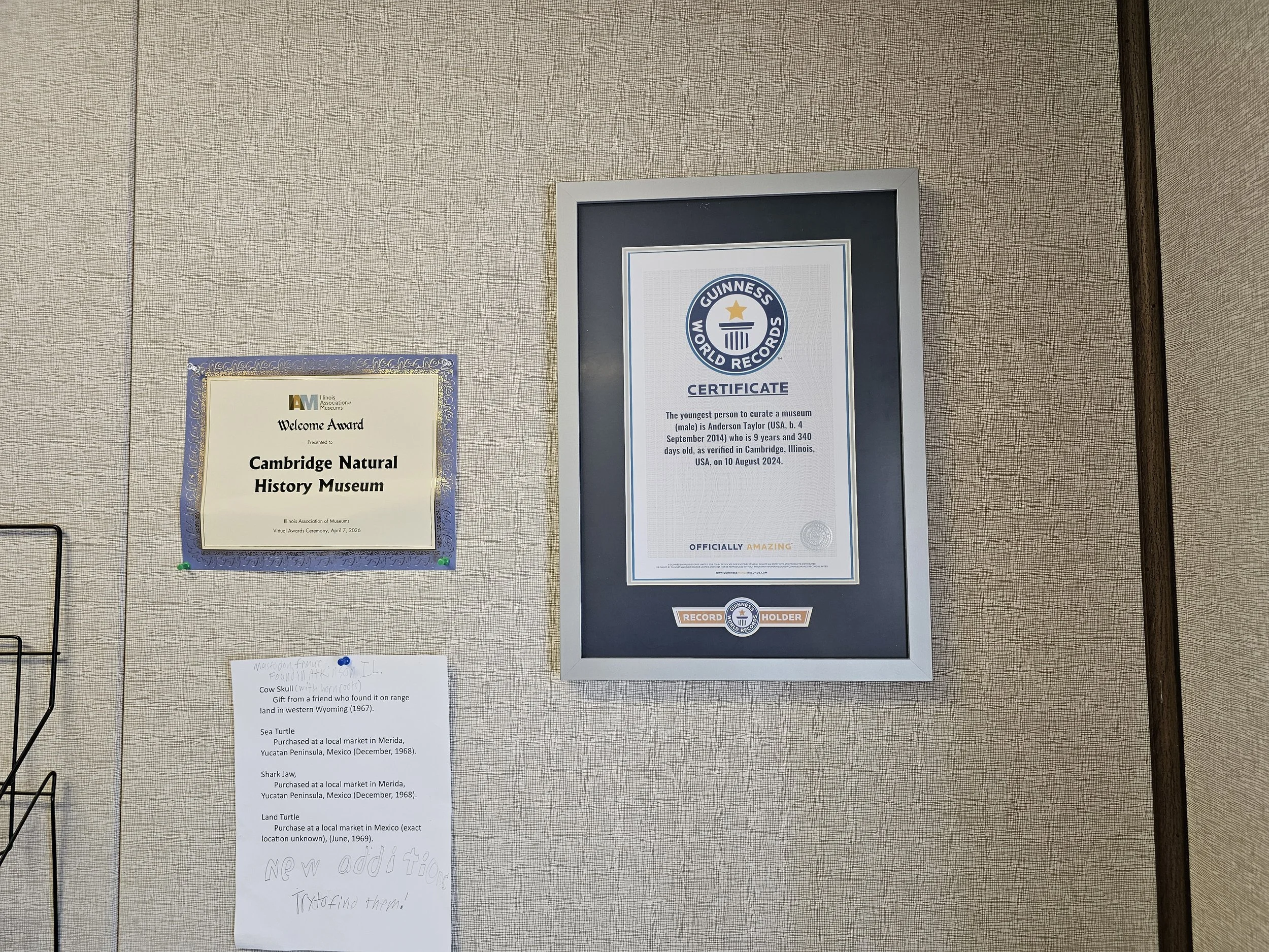 Guinness World Records certificate and museum interpretive materials on display.