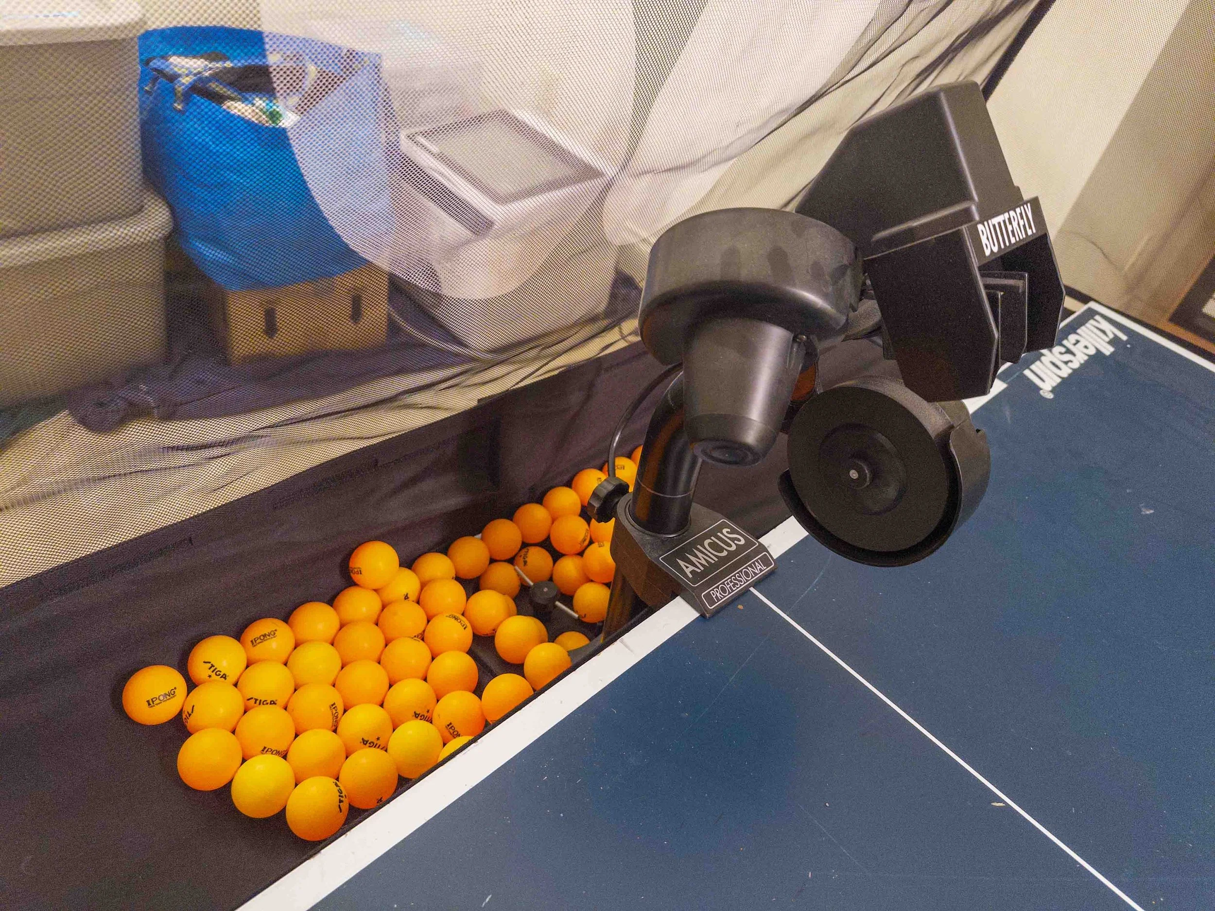Butterfly Table Tennis Robot. Amicus Professional.