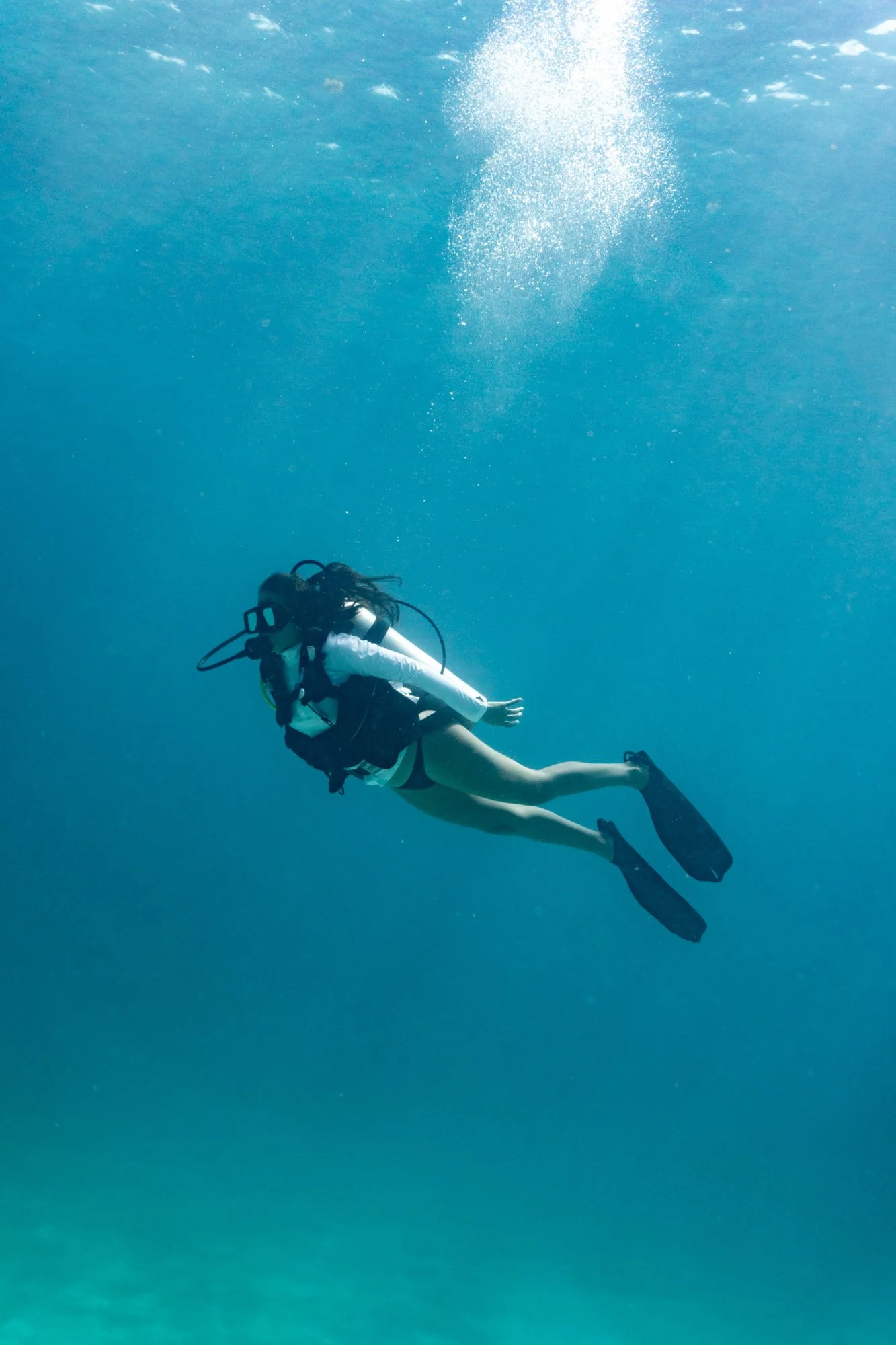 Senses Submerged_UW-114020-2.jpg