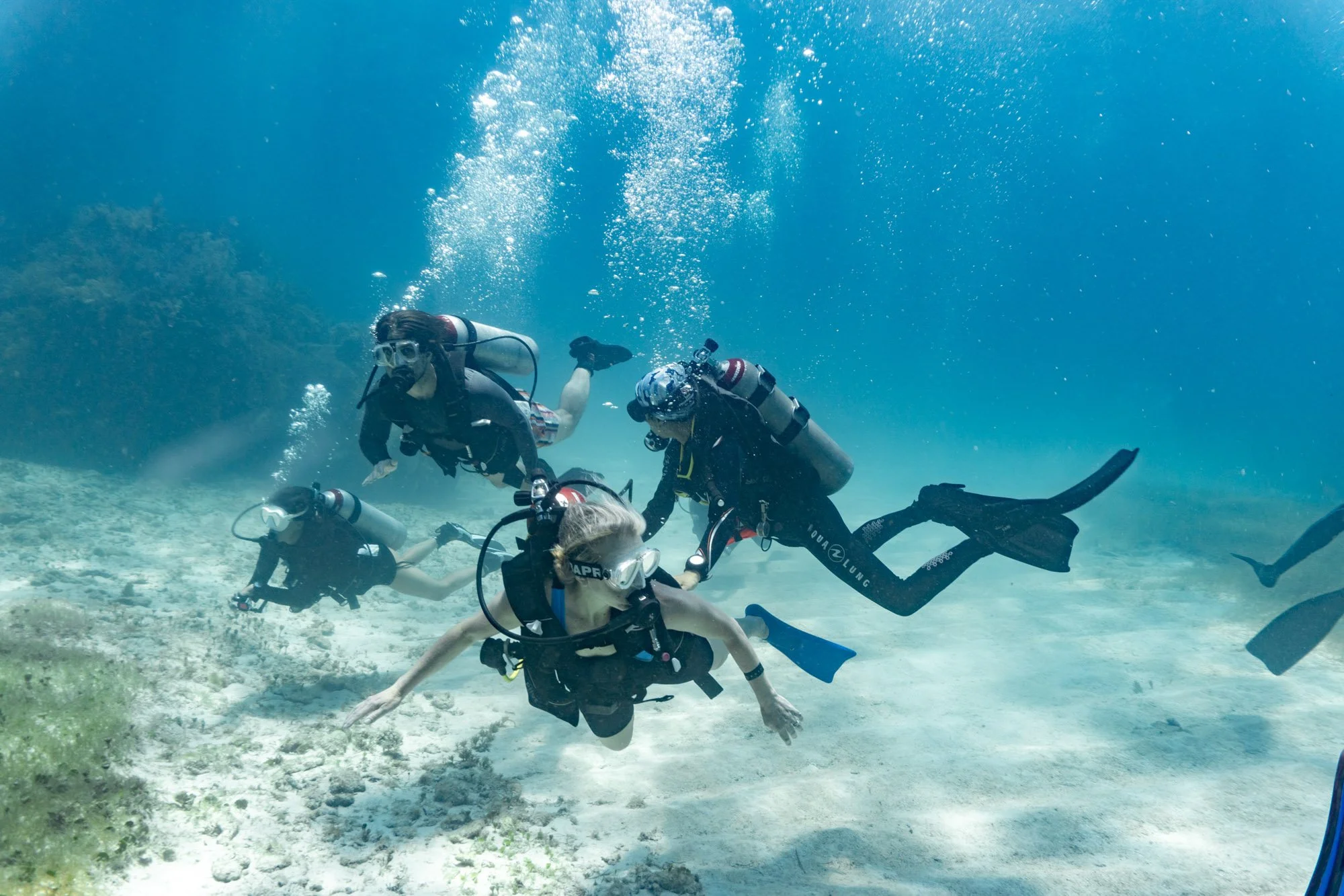 Senses Submerged_UW-143327.jpg