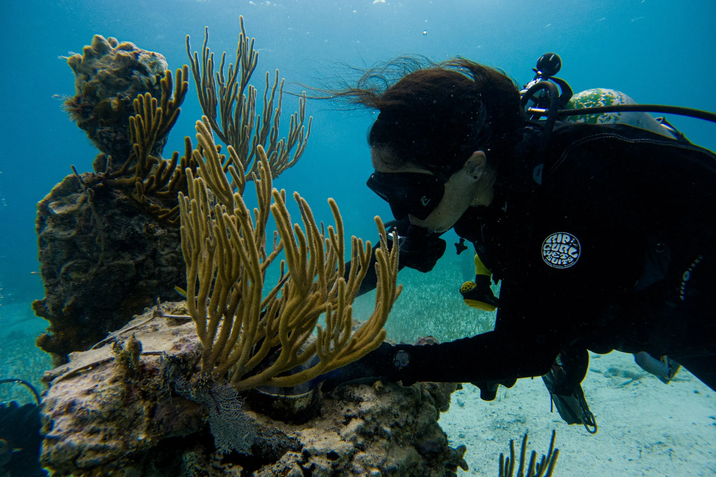 Fieldwork_Deployment-TheListener_Cancun-3584.jpg