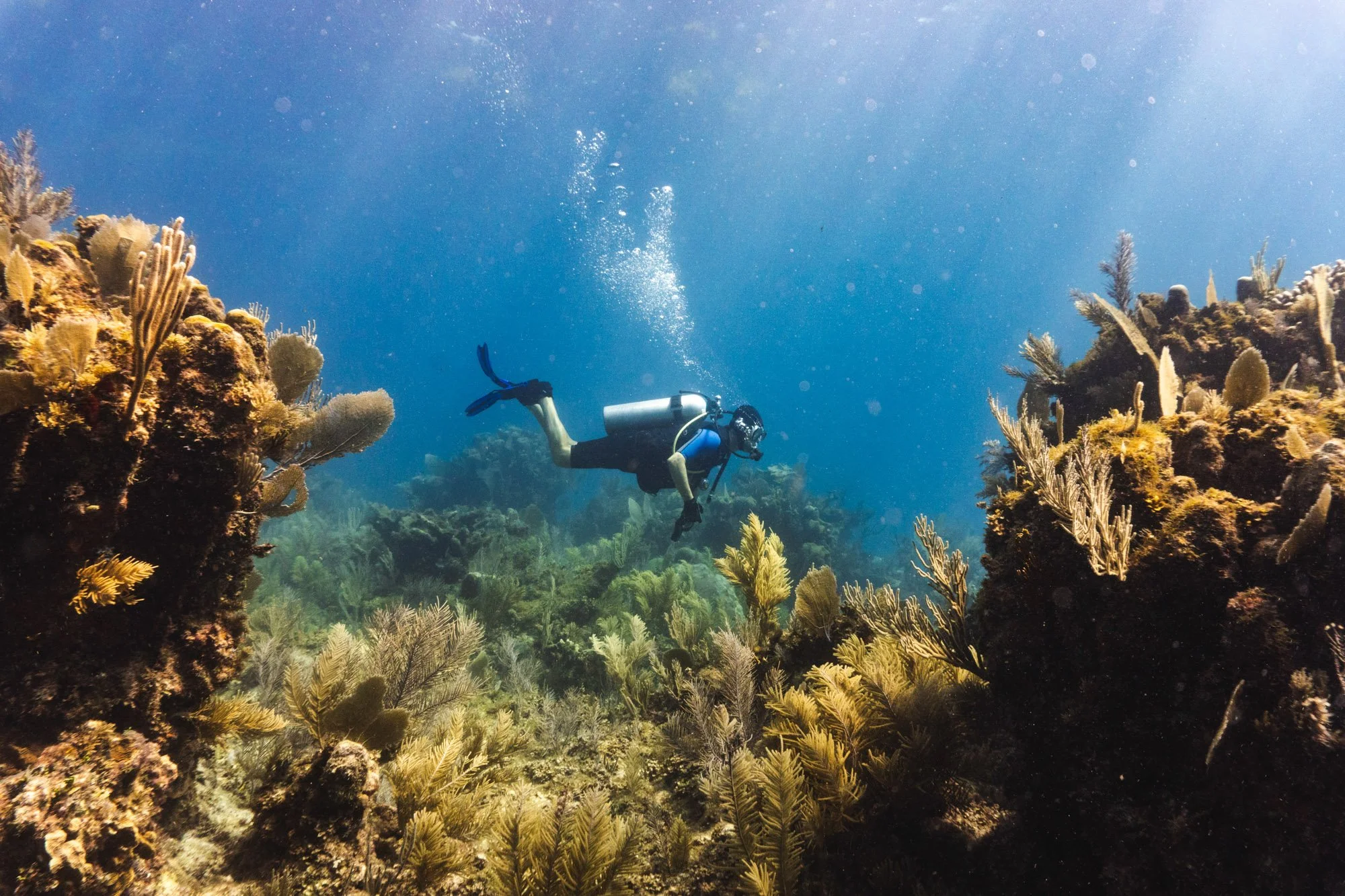 07.18 Buceo Nizuc-08232.jpg