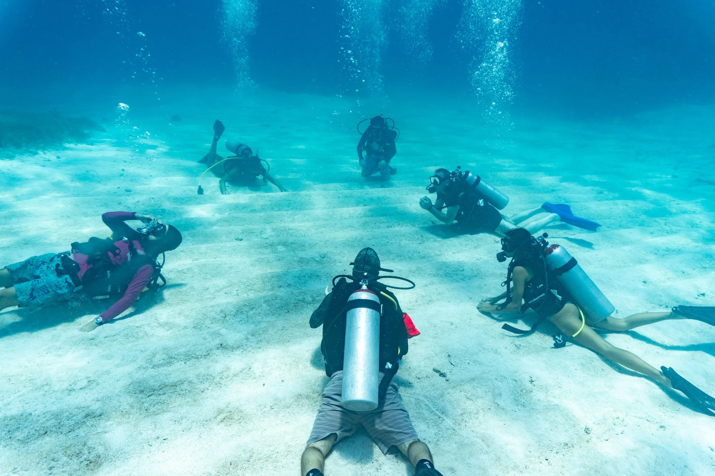 Workshops_Senses Submerged_UW-141658.jpg
