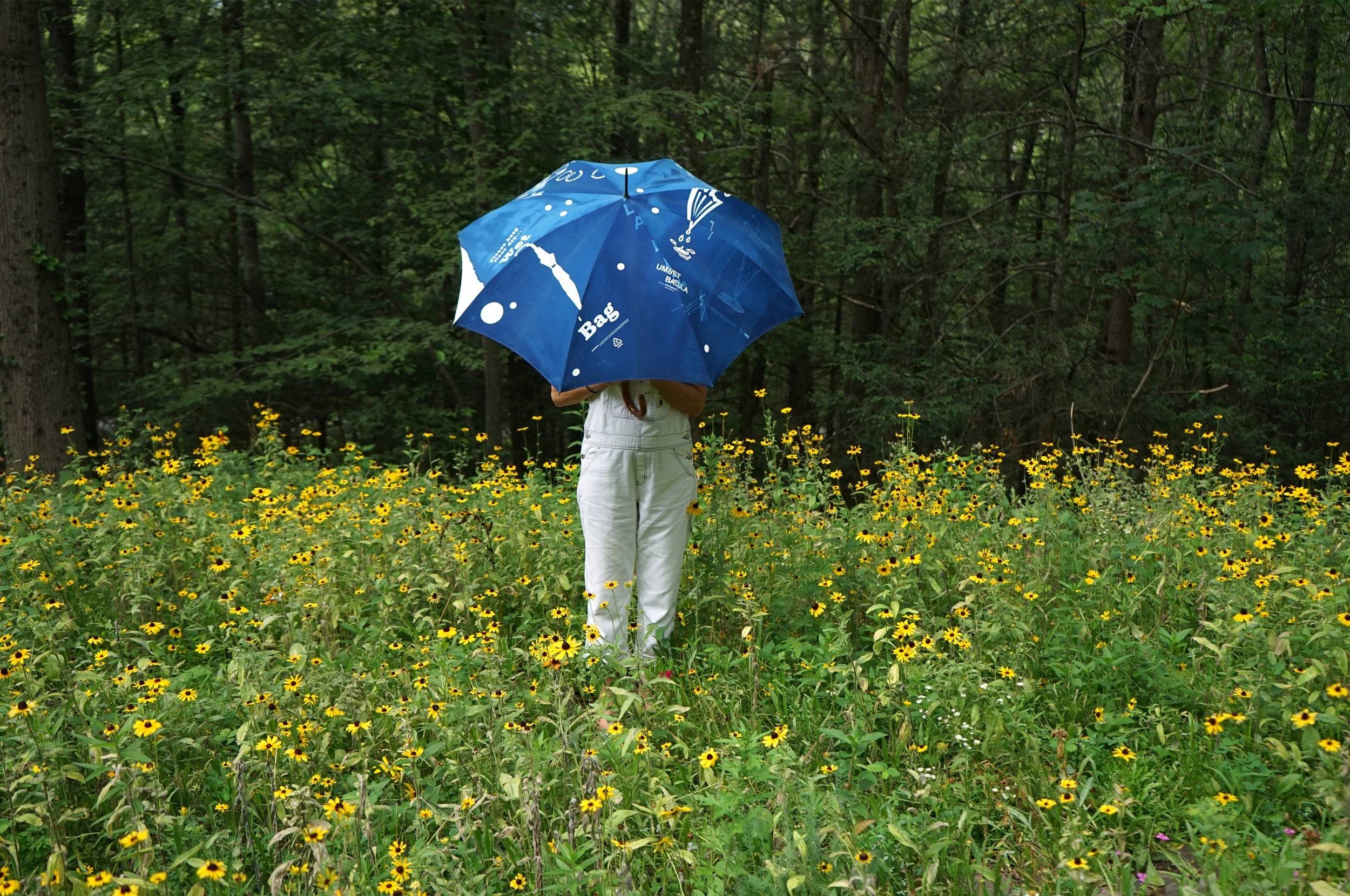 brolly2.jpg