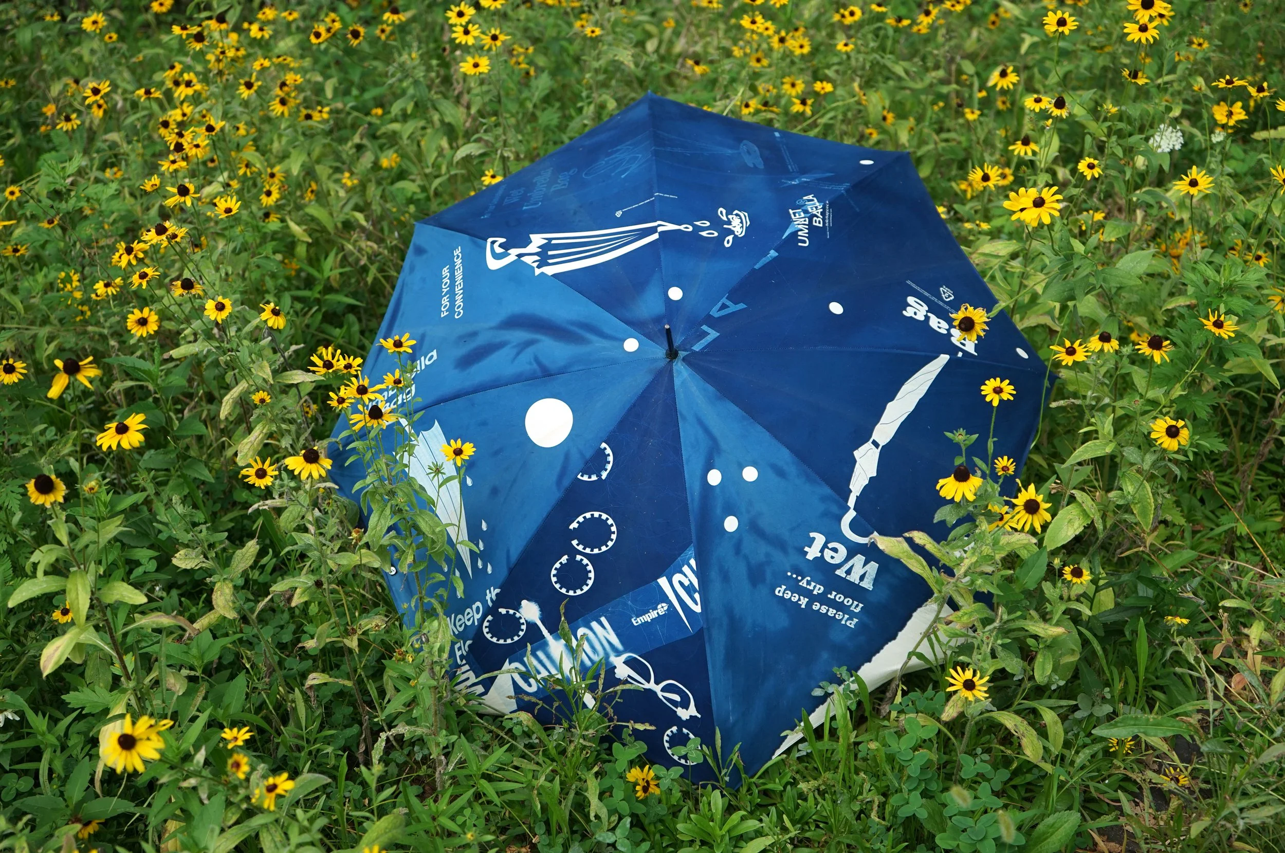 brolly 1.jpg