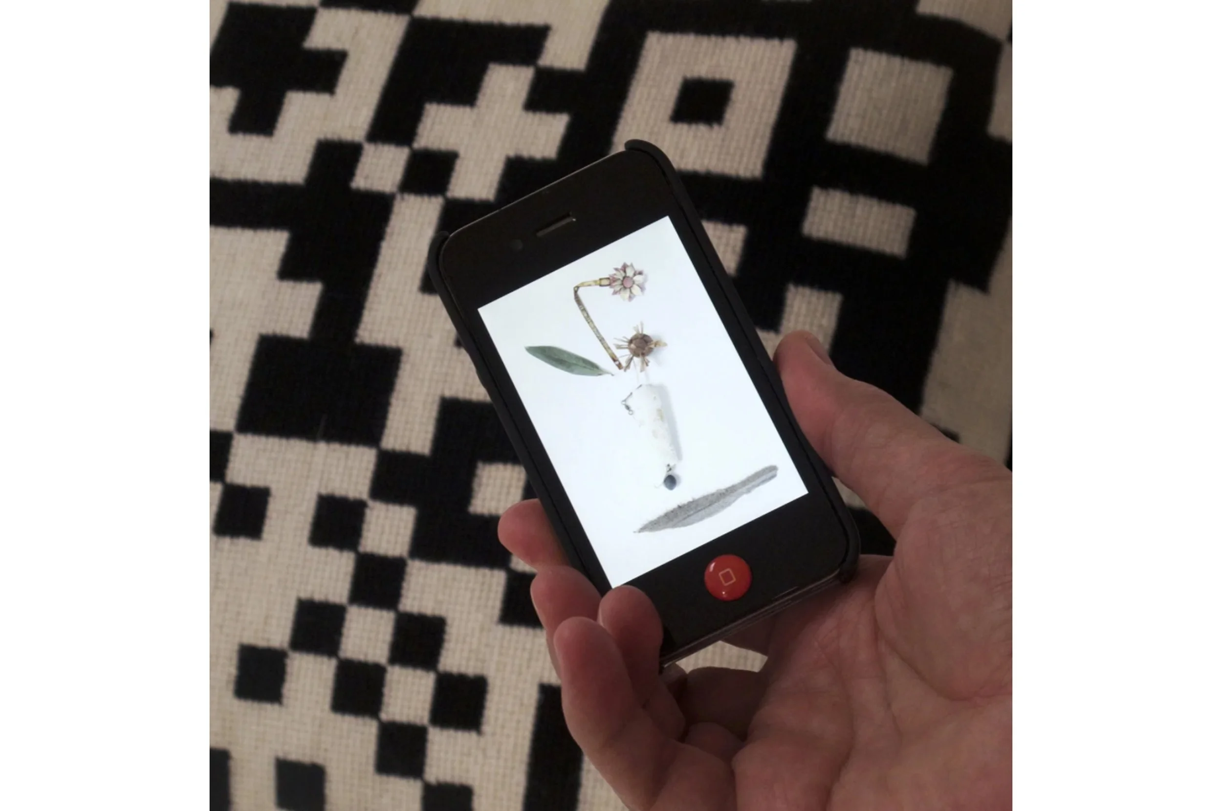 cushion_phone.jpg