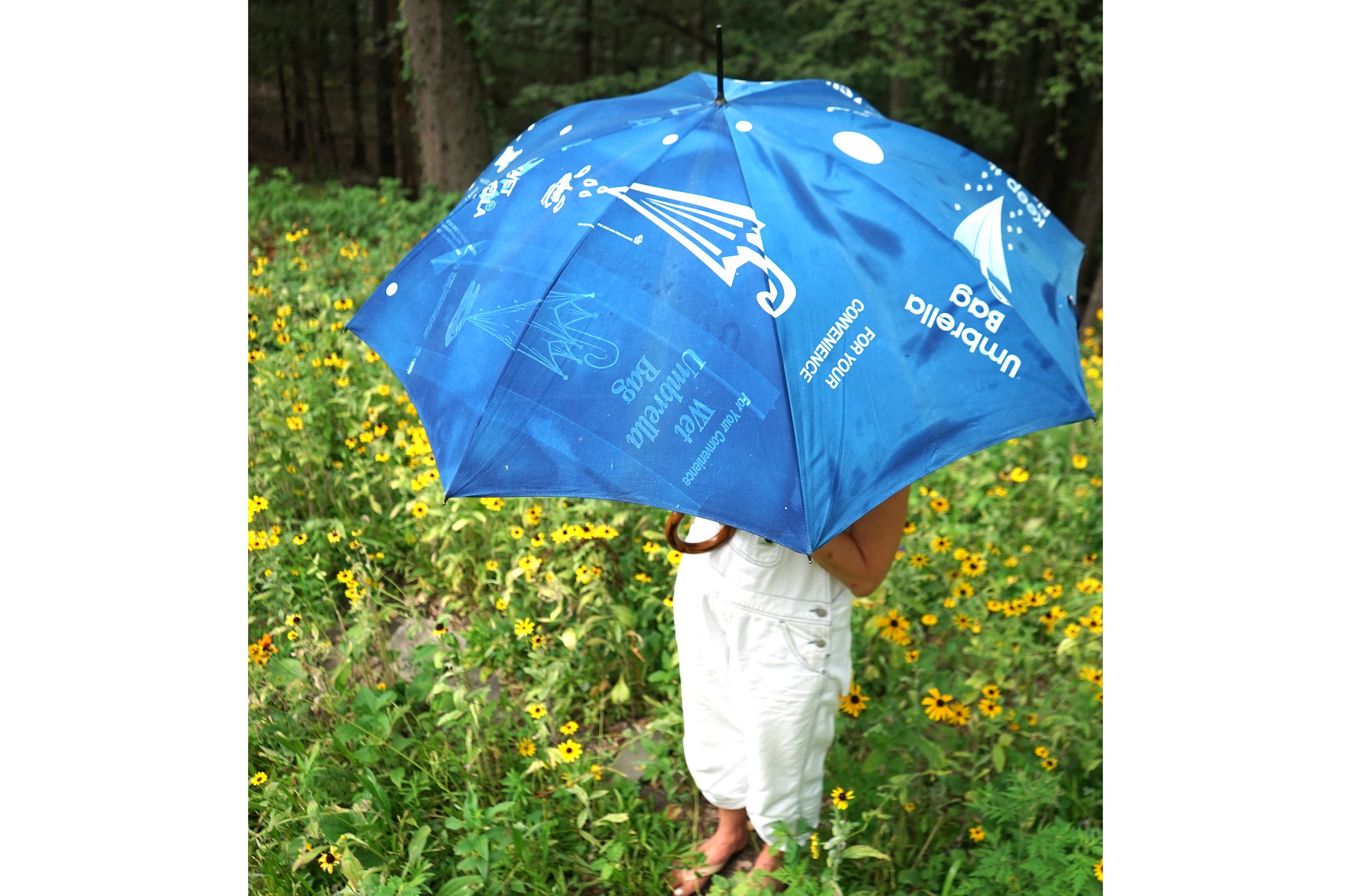 brolly3.jpg