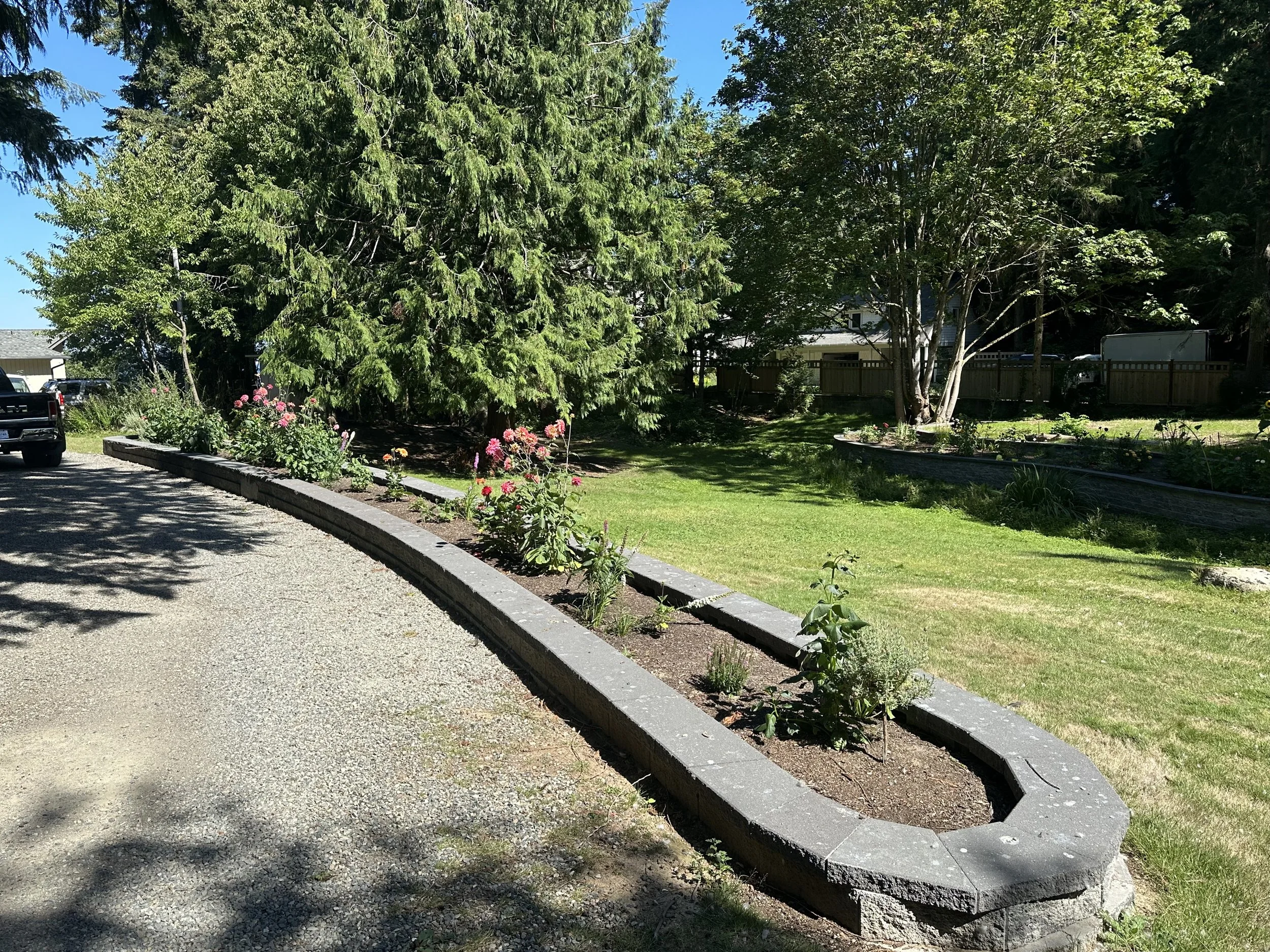 A landscaped backyard with a flower bed along a curved border, conifer and deciduous trees, a lawn, and a fence in the background, under a clear blue sky.