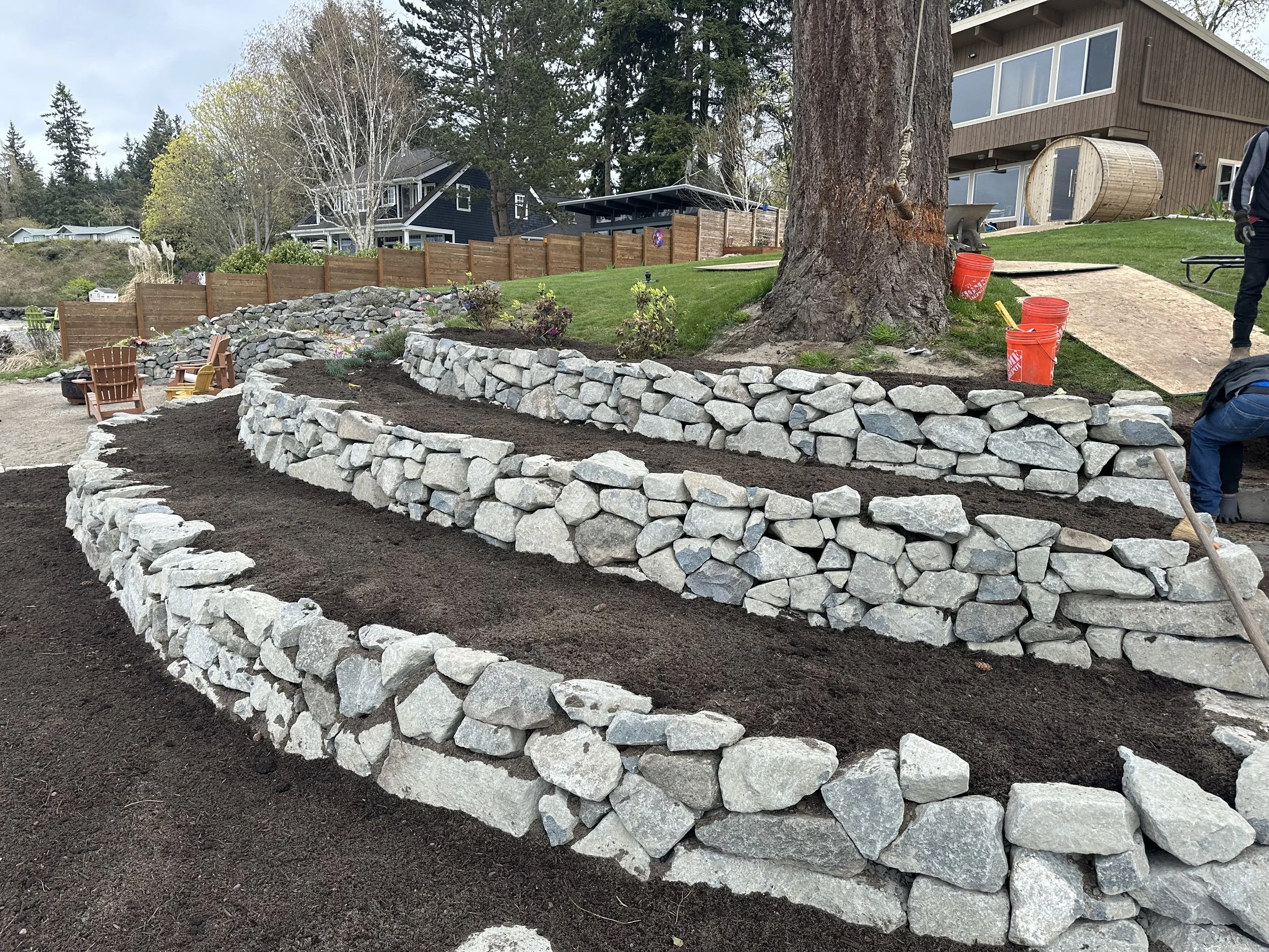 A backyard garden in progress featuring a stone retaining wall with new plants, a large tree with a swing rope, wooden Adirondack chairs, and nearby red buckets on a walkway. In the background, there are houses with fencing and natural trees.