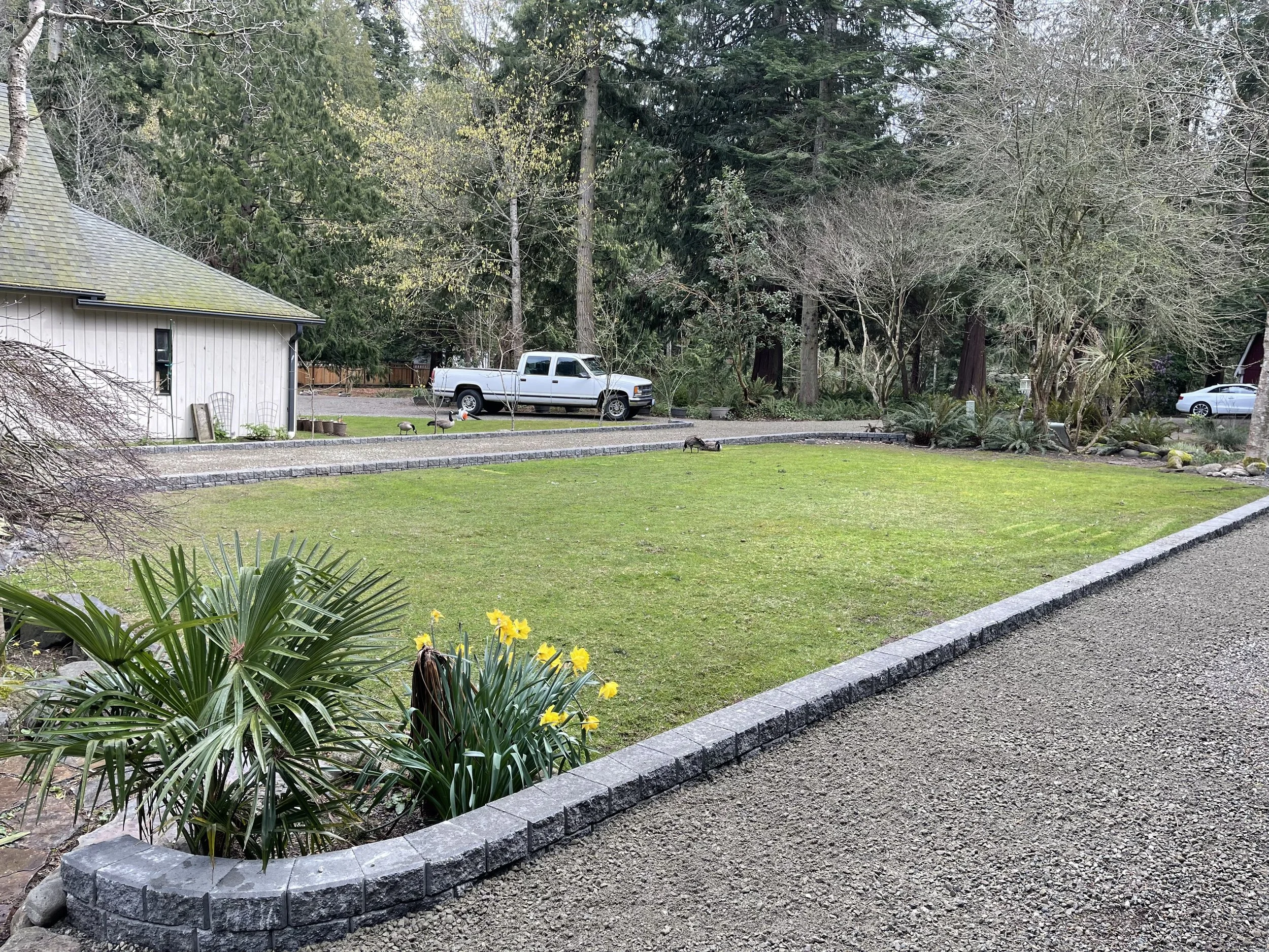 A well-maintained backyard with a green lawn, surrounded by trees, plants, and flowers. There is a stone border outlining the garden bed, with a gravel pathway nearby. A white pickup truck is parked in the background near a shed, and a white car is p