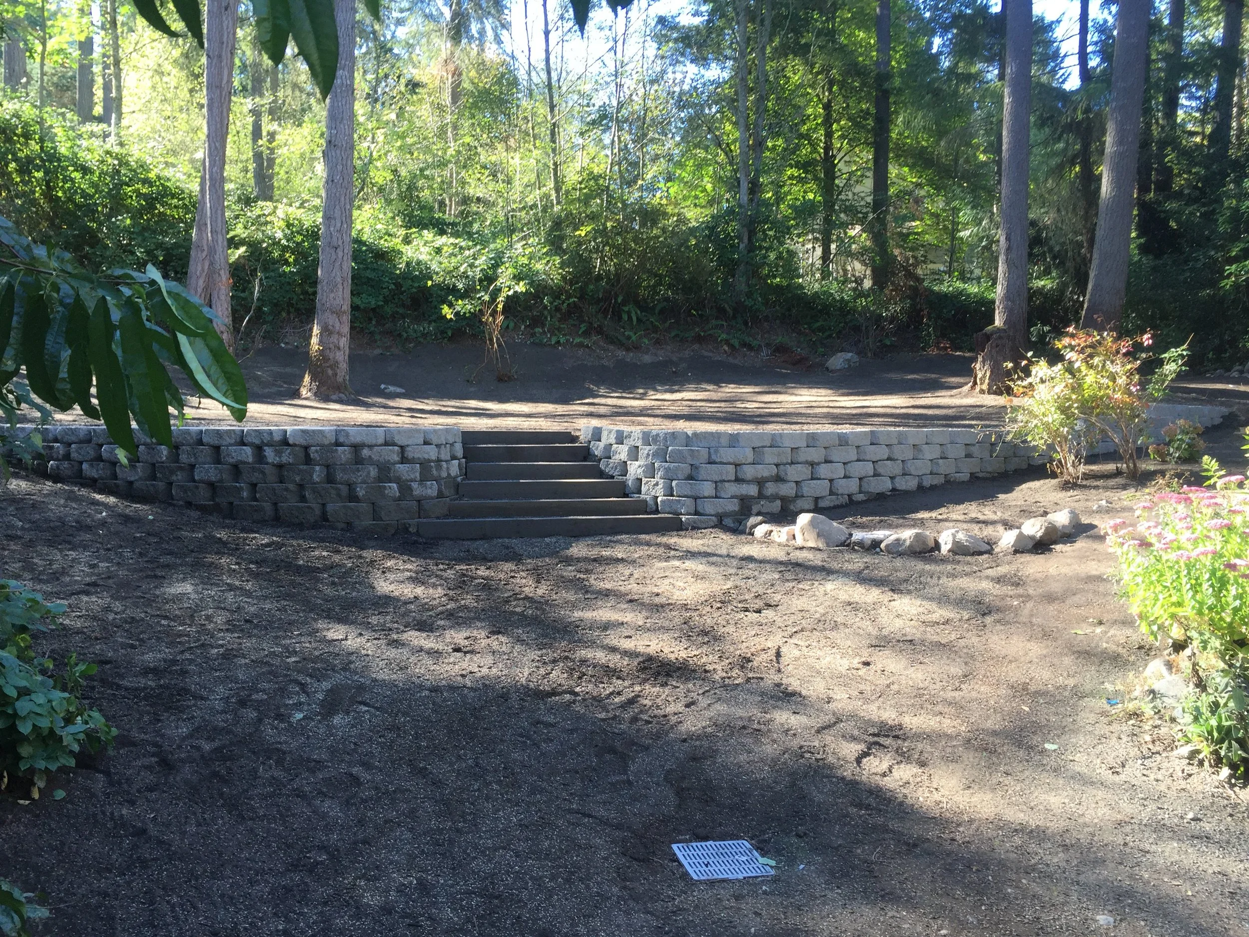 A small outdoor stage with steps, surrounded by trees and bushes in a wooded area, with sunlight filtering through the leaves.
