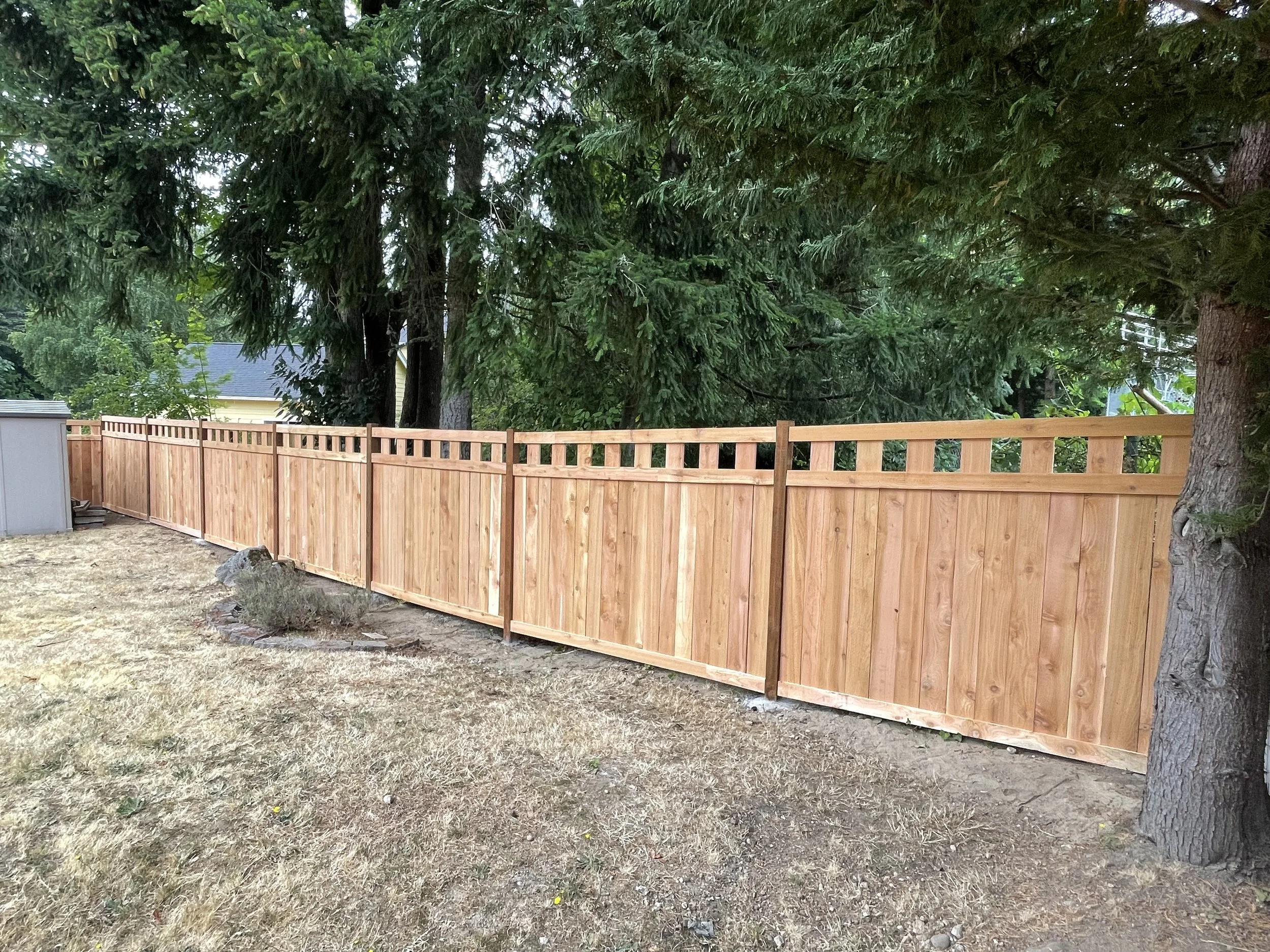 A wooden privacy fence in a backyard area with trees in the background and a small shed on the left side.