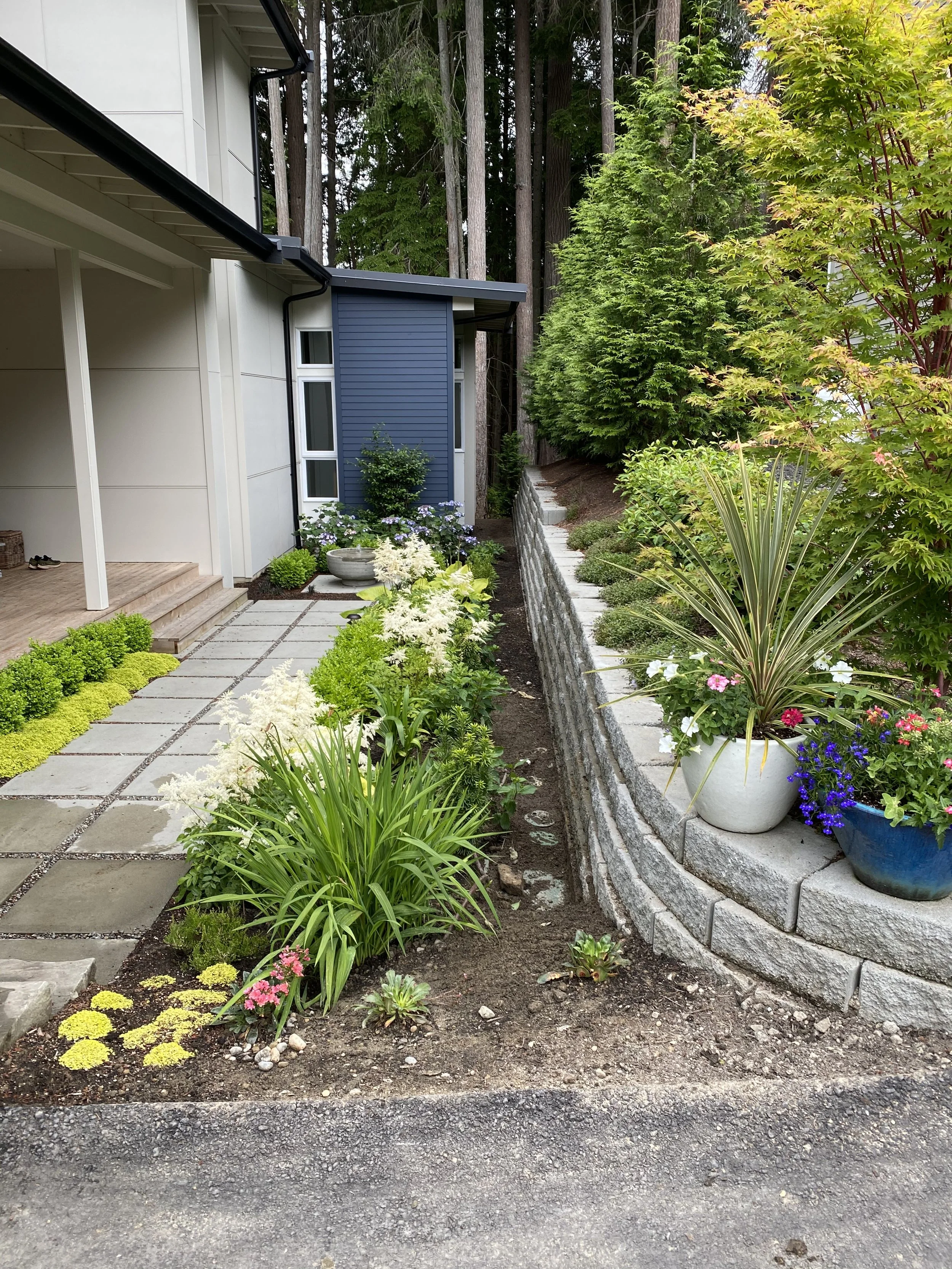 A well-maintained garden with assorted plants and flowers along a stone pathway next to a house, backed by a wooded area.