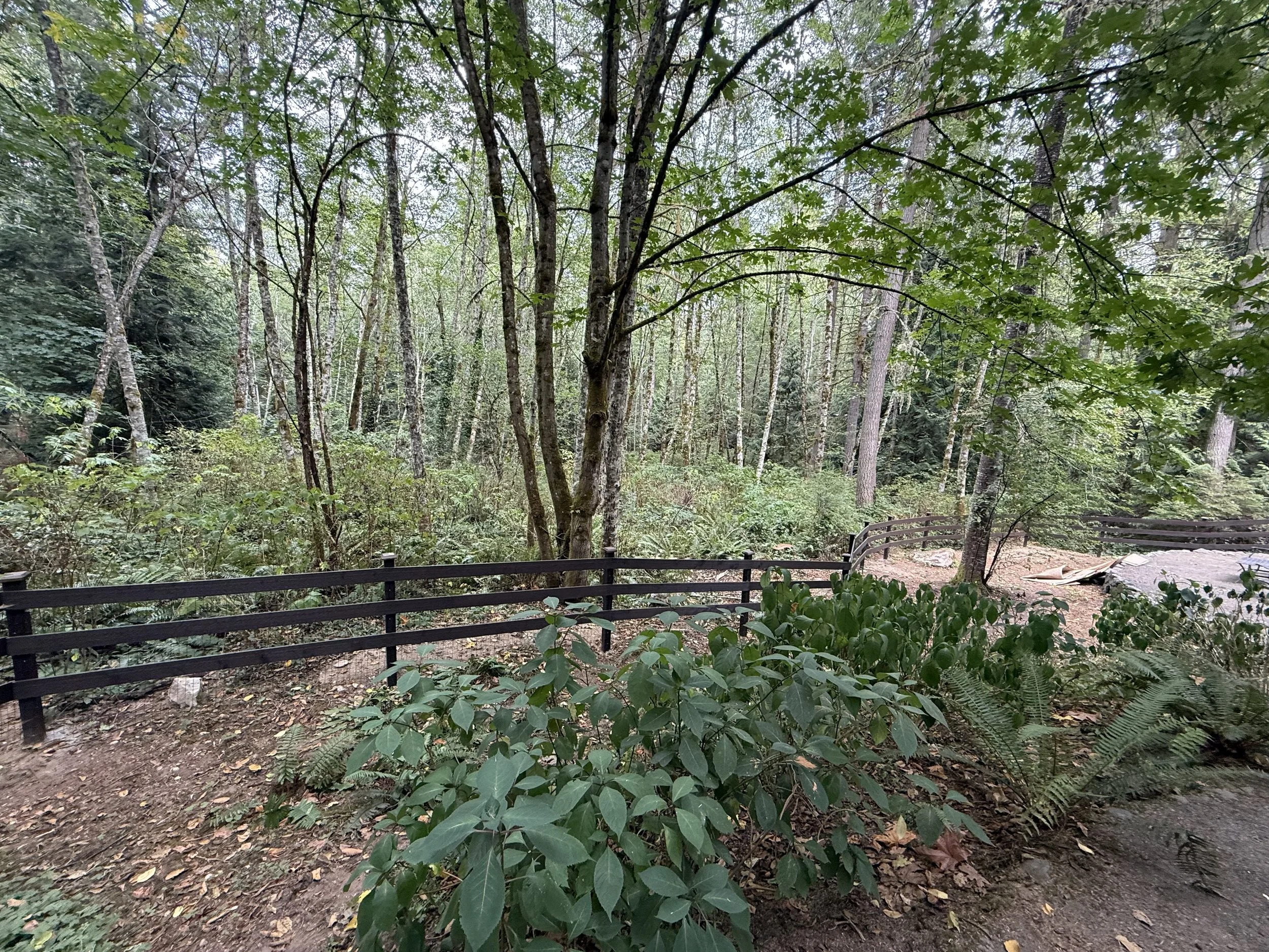 A wooded trail with green foliage, trees, and a black fence on a cloudy day.