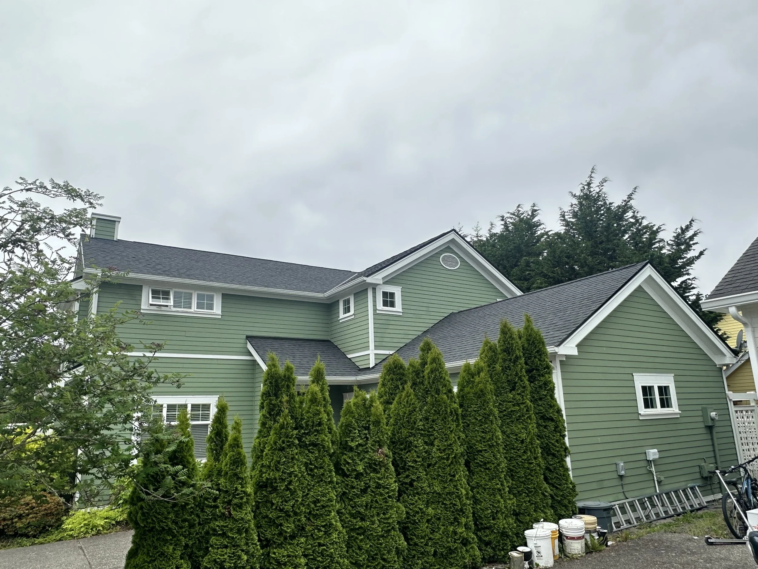 Front view of a green house with white trim, surrounded by tall trees and bushes, overcast sky.