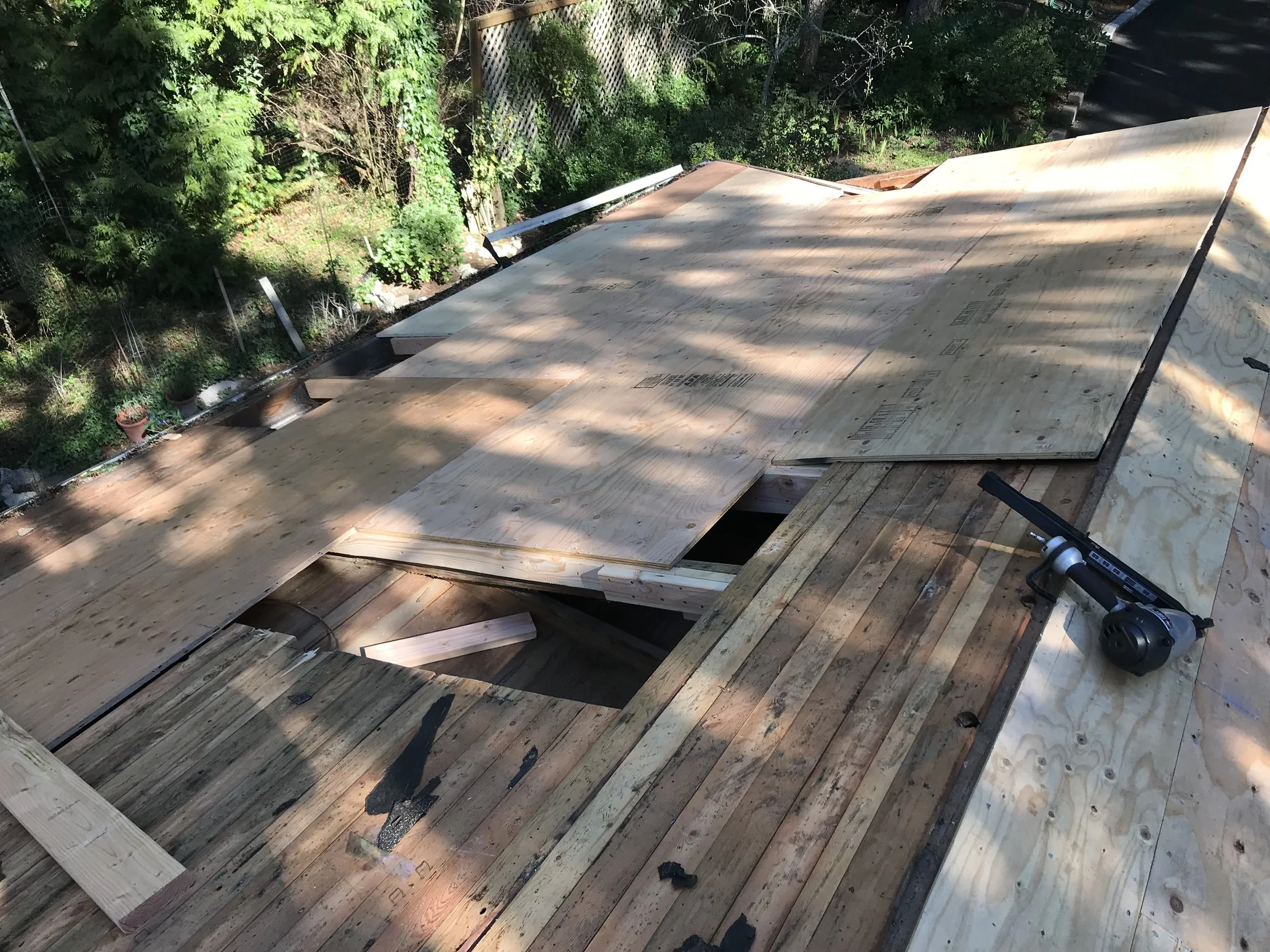 Wooden roof structure under construction with plywood sheets, surrounded by green trees and foliage.