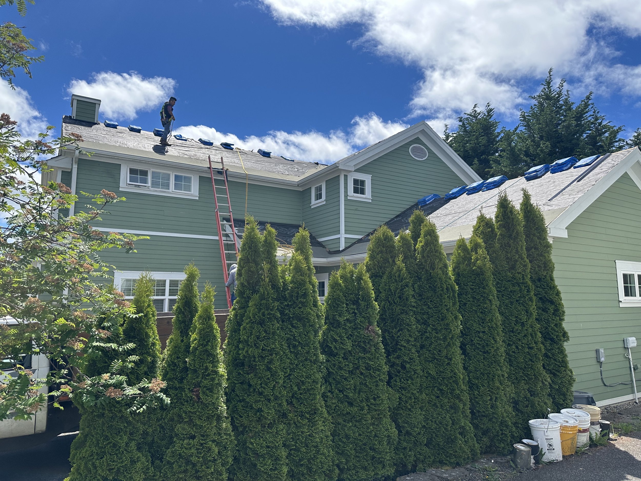 A person working on the roof of a green house during daytime, with roofing materials and scaffolding around, and trees and a partly cloudy sky in the background.