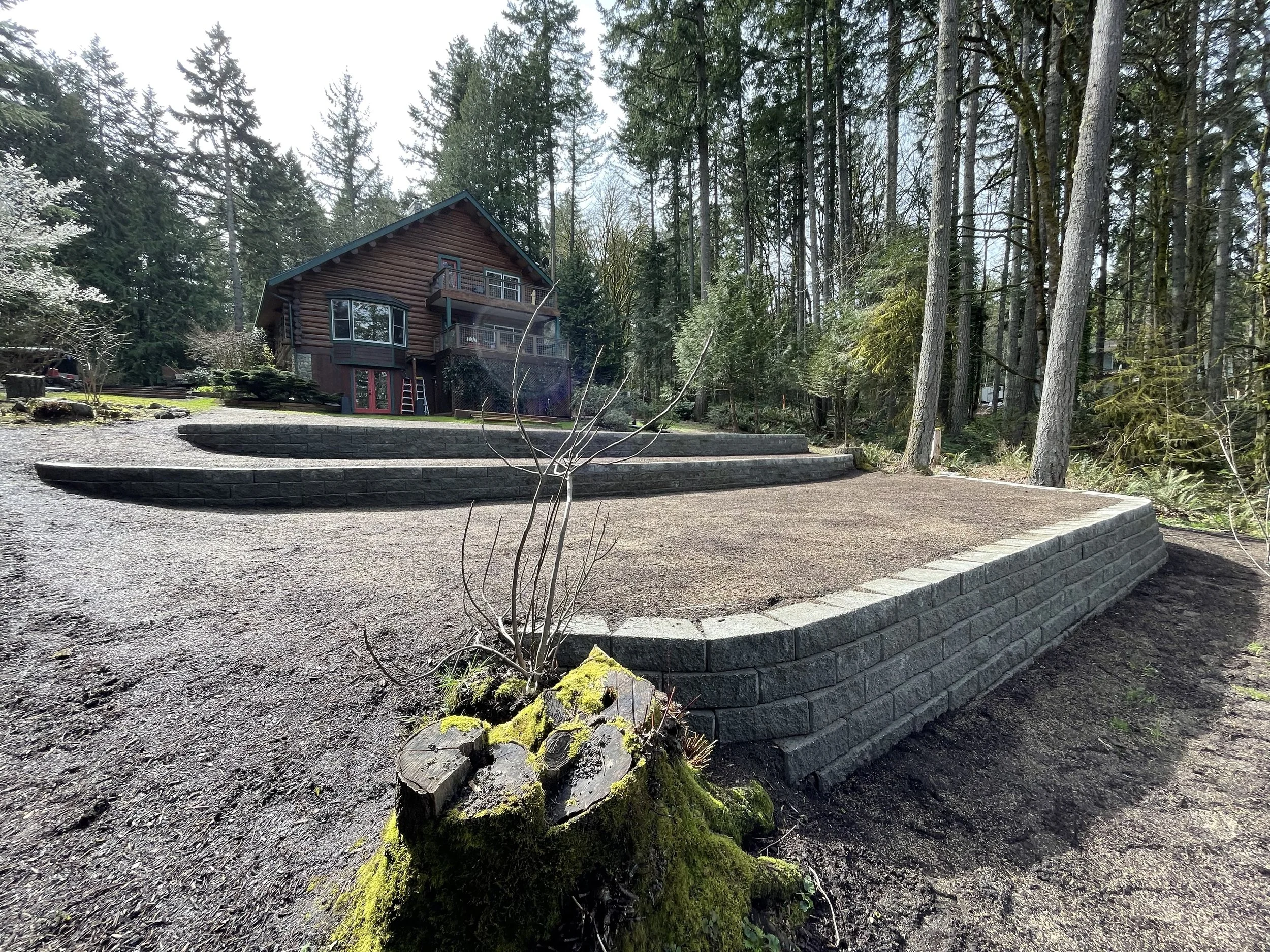 A wooden house surrounded by tall trees in a forest, with a landscaped yard including stone steps, mossy logs, and small bushes.