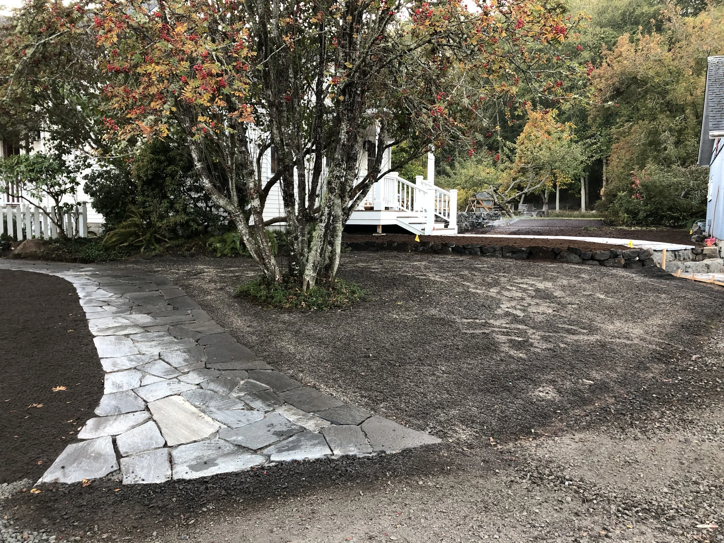 IMG_3220.jpeg