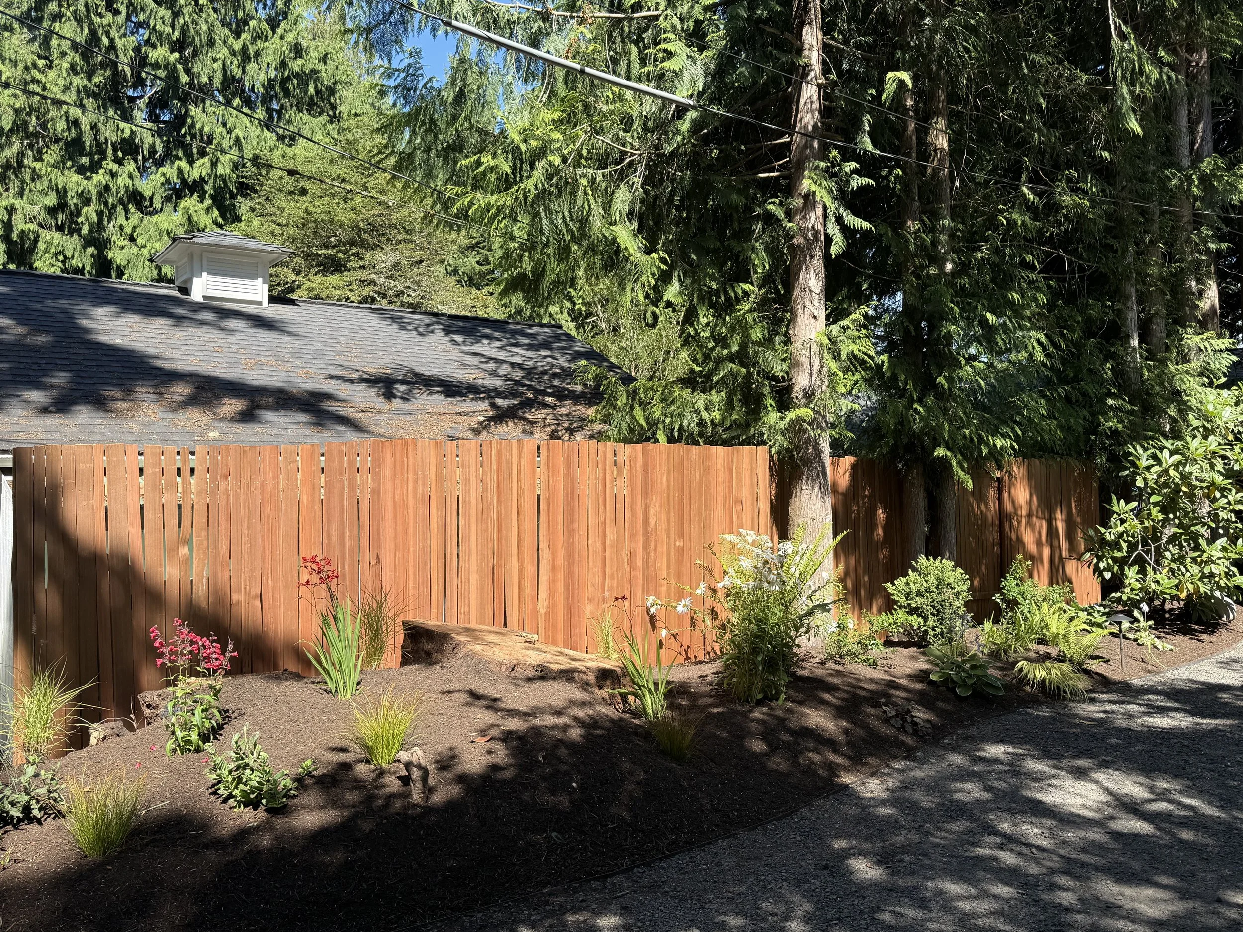 A backyard garden with freshly planted flowers and shrubs, a wooden fence, a roof with a vent, large pine trees, and electric wires overhead on a sunny day.