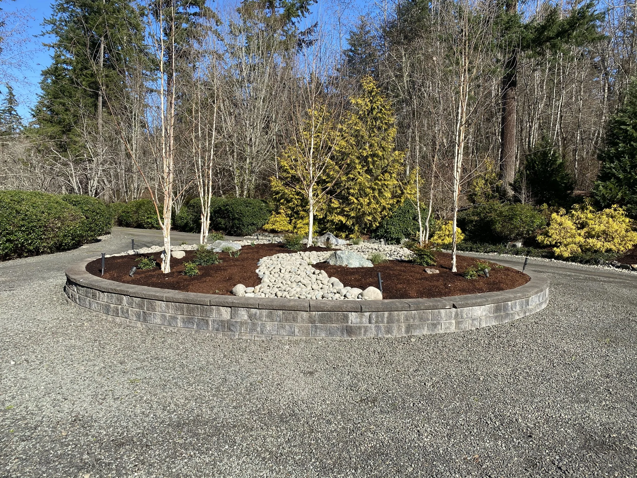 A landscaped garden with a curved stone wall, white rocks, small plants, and a variety of trees, including evergreens and deciduous trees, under a clear blue sky.