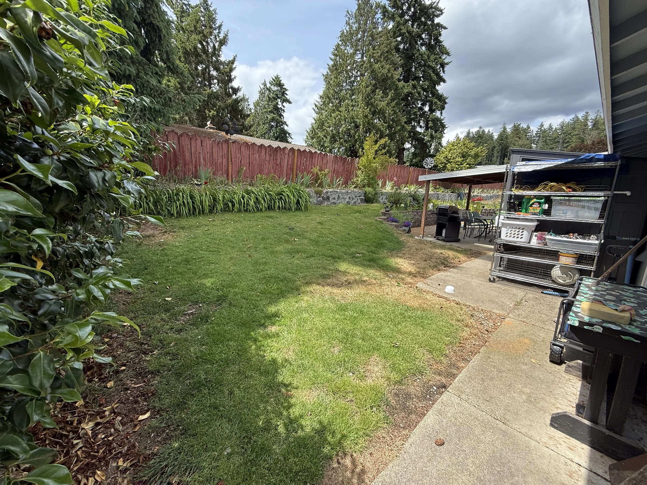 A backyard garden with a lawn, trees, bushes, a red fence, and outdoor furniture including chairs, a grill, and metal storage racks with gardening supplies.