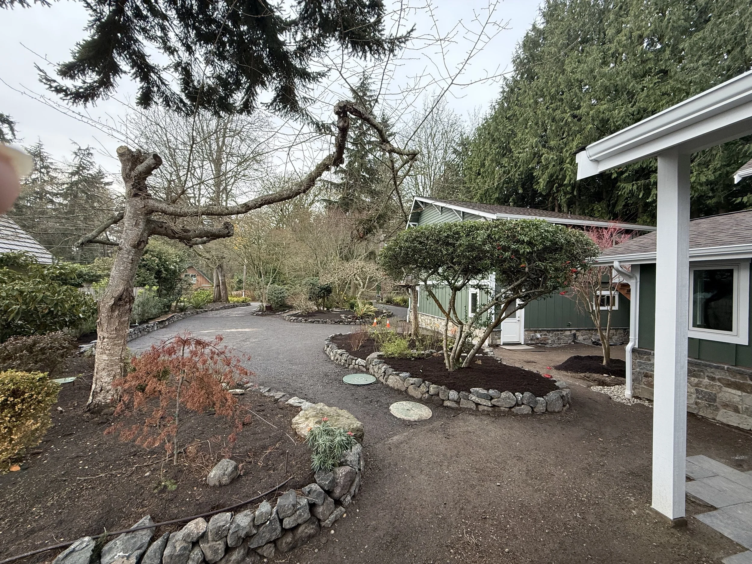 A well-maintained backyard garden with various trees, shrubs, and a gravel pathway. There is a large, leafless tree in the foreground, surrounded by a stone border, and other evergreen trees in the background. A house with green siding and a white tr