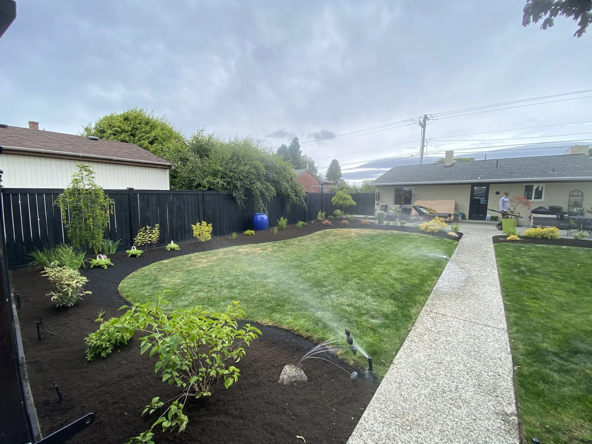 A backyard with a curved garden bed, small plants, and a lawn. A sprinkler is watering the garden bed. There is a paved pathway and a house in the background with a person standing outside.