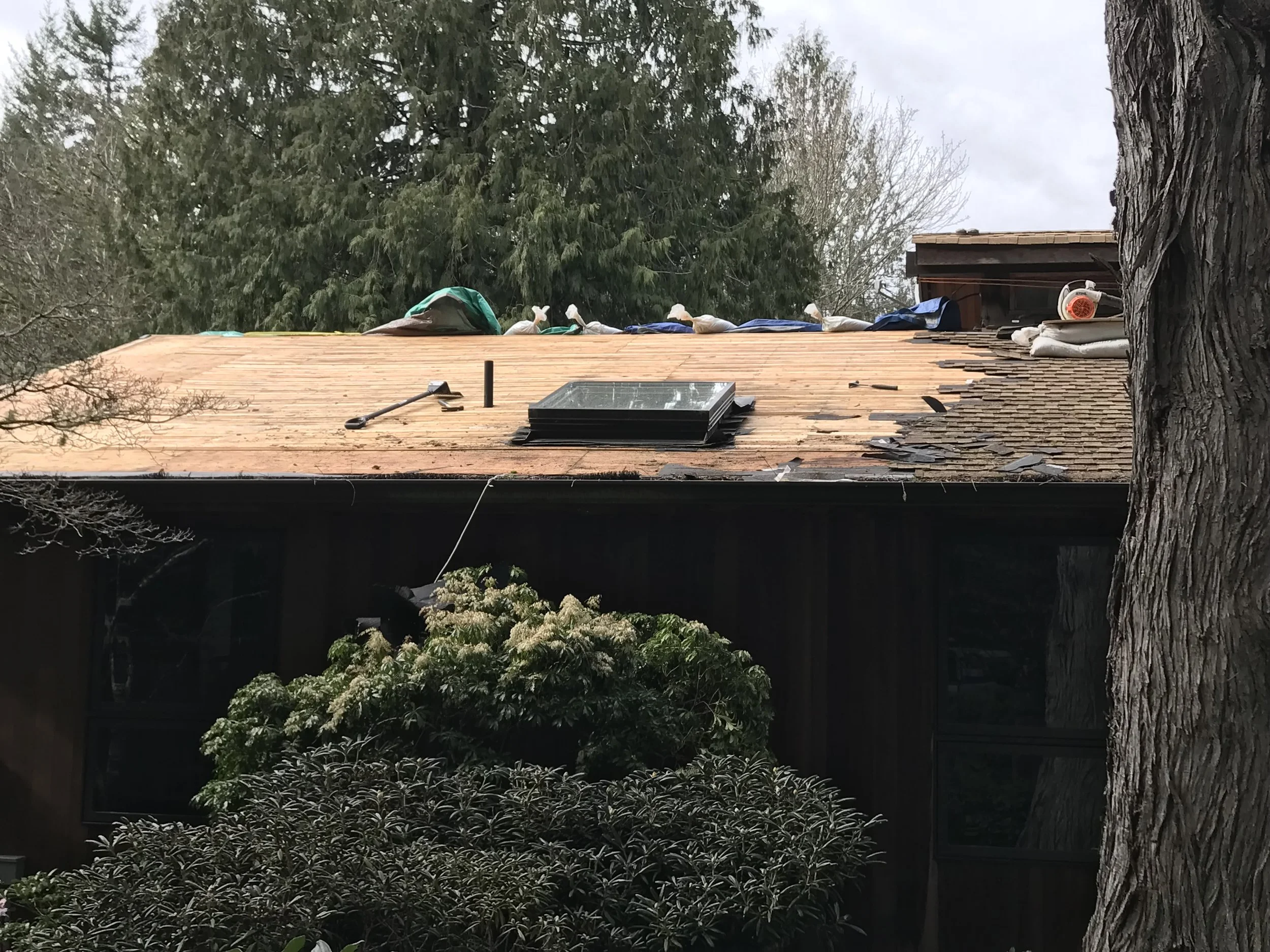 View of a house roof under construction with shingles partially removed, roofing tools and supplies scattered on top, surrounded by trees and greenery.