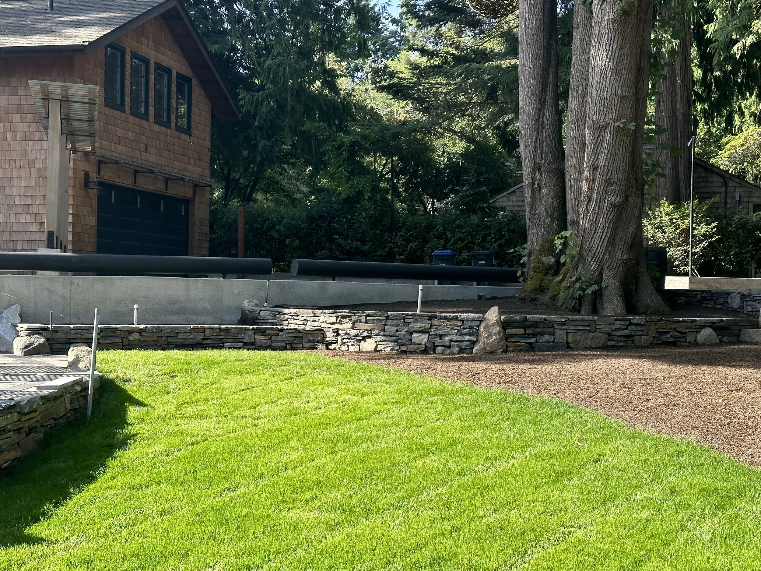 A backyard with a well-maintained green lawn, large trees, and a house with a brown exterior and a black garage door.
