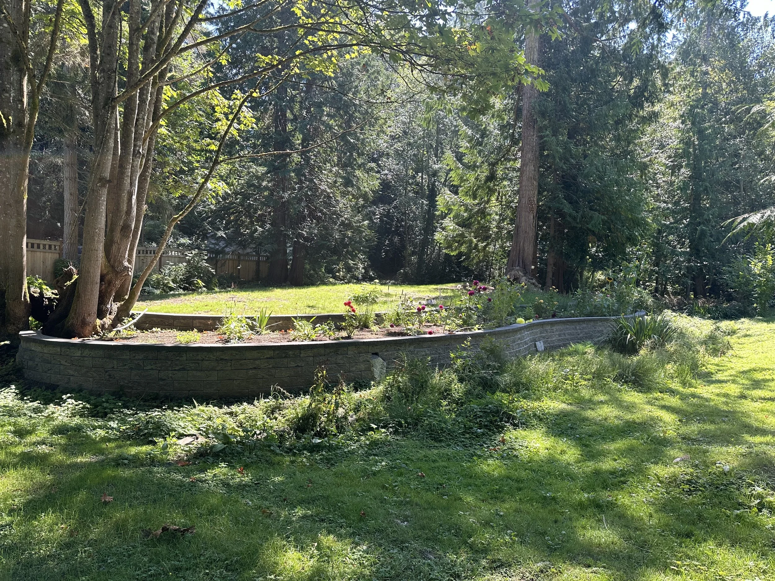 A backyard garden with a raised flower bed made of stone, surrounded by green grass and trees, with sunlight filtering through the leaves.