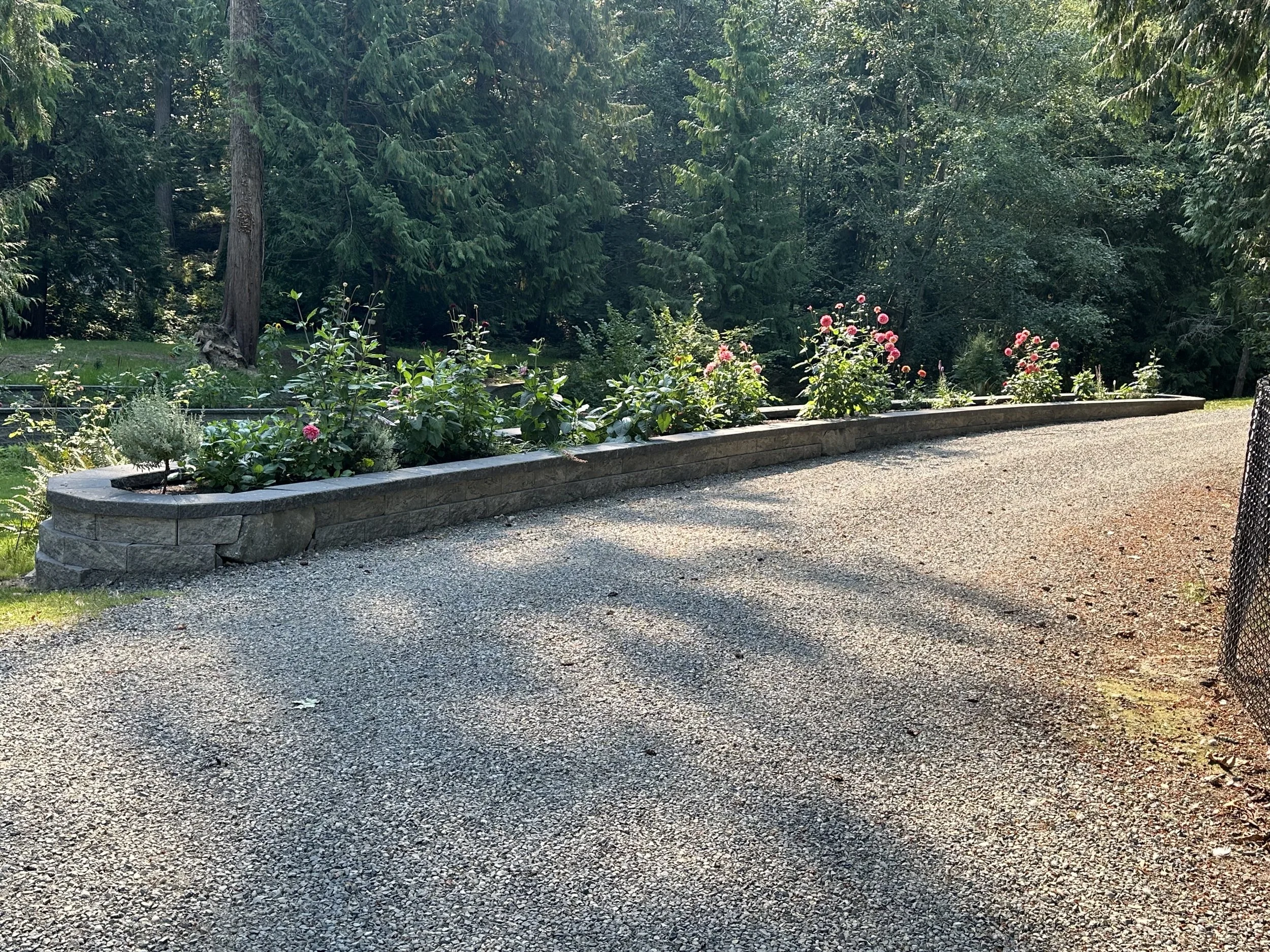 The image shows a gravel pathway with a stone edged flower bed on the side, filled with pink and other colored flowers. In the background, there is a dense forest of tall green trees, creating a natural, lush setting.