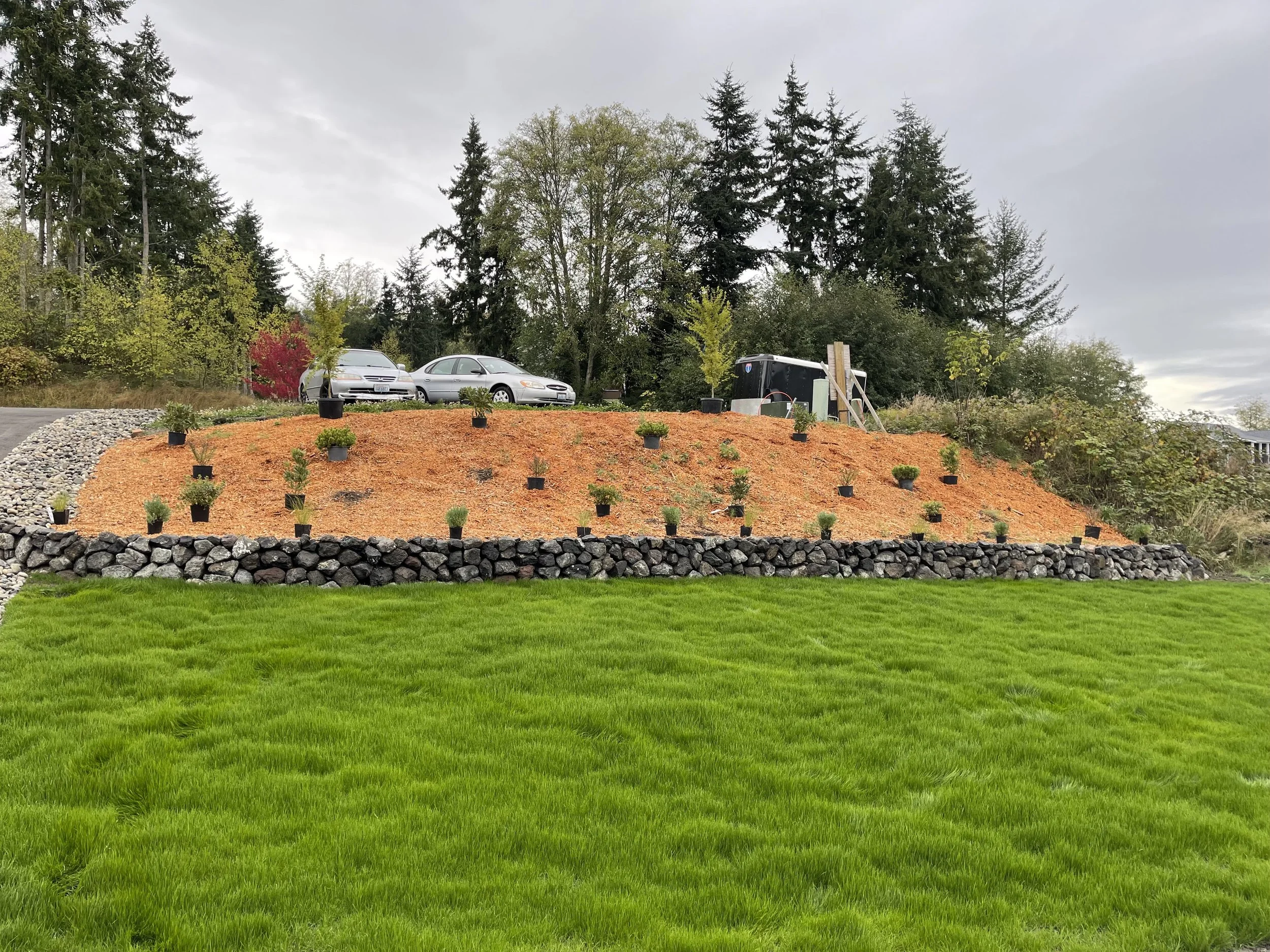 A landscaped yard with a vibrant green lawn in the foreground, a topped mound covered with reddish mulch and small potted plants, a stone border, parked cars, and a dense forest of tall pine and deciduous trees under a cloudy sky.