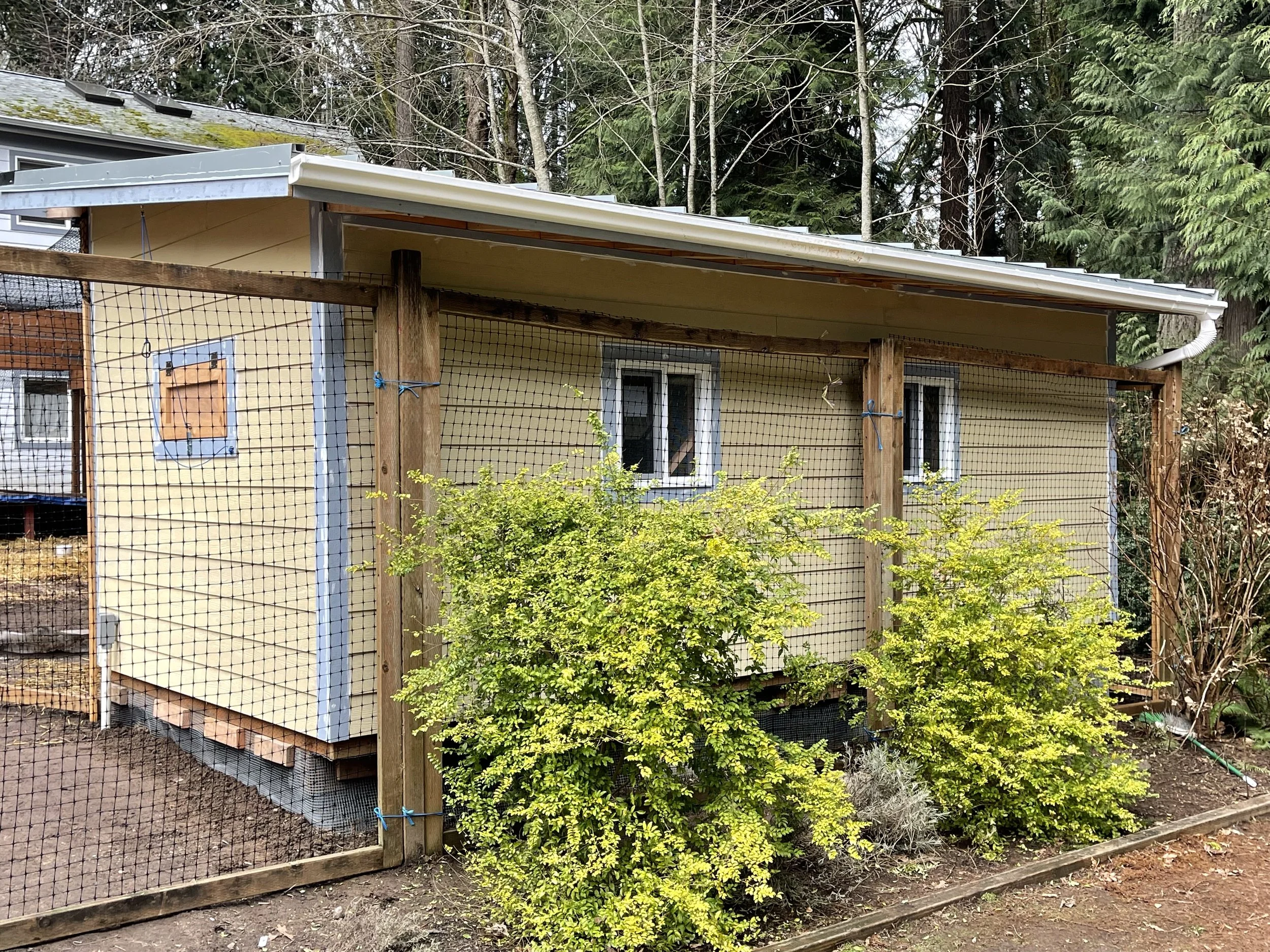 A house under construction with yellow siding, a metal roof, and a fenced yard with wooden posts and wire mesh. There are green bushes in the front yard and tall trees in the background.