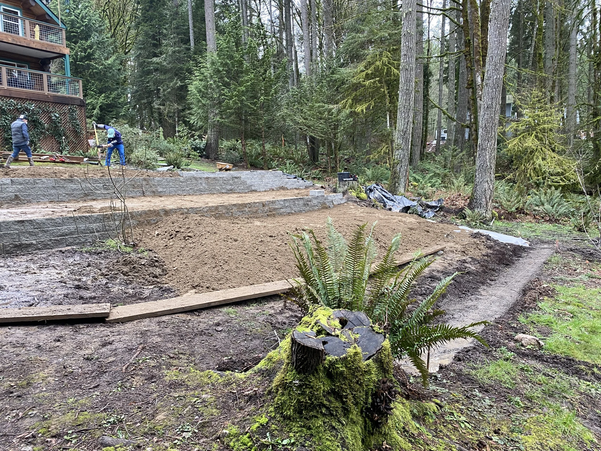 People working on landscaping or construction in a wooded backyard, with trees and a stone retaining wall.