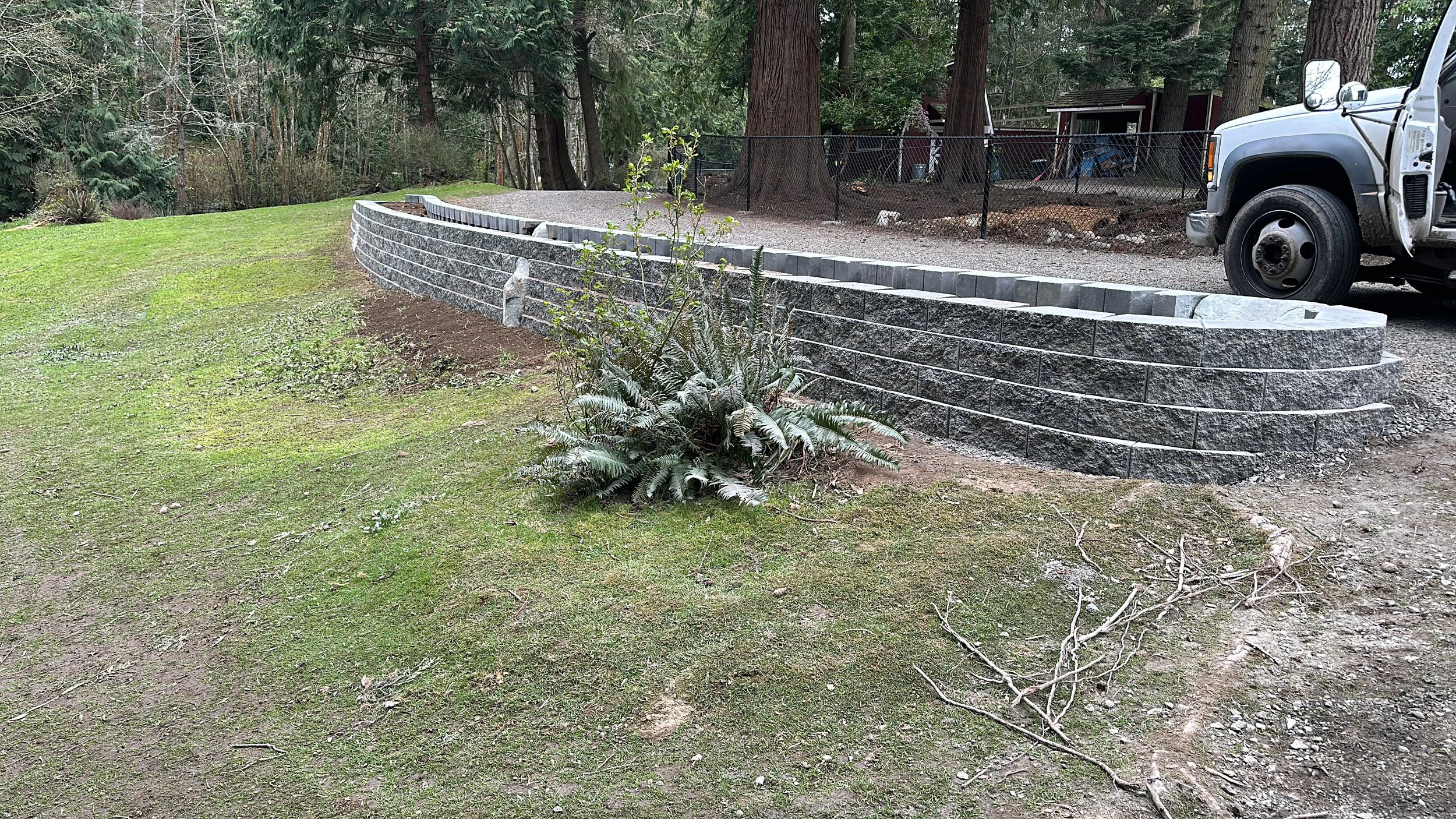 A backyard with a green grassy area, a stone retaining wall, and a gravel driveway. There are large trees, a chain-link fence, and a white truck parked on the driveway. A garden plant is also visible in the foreground.